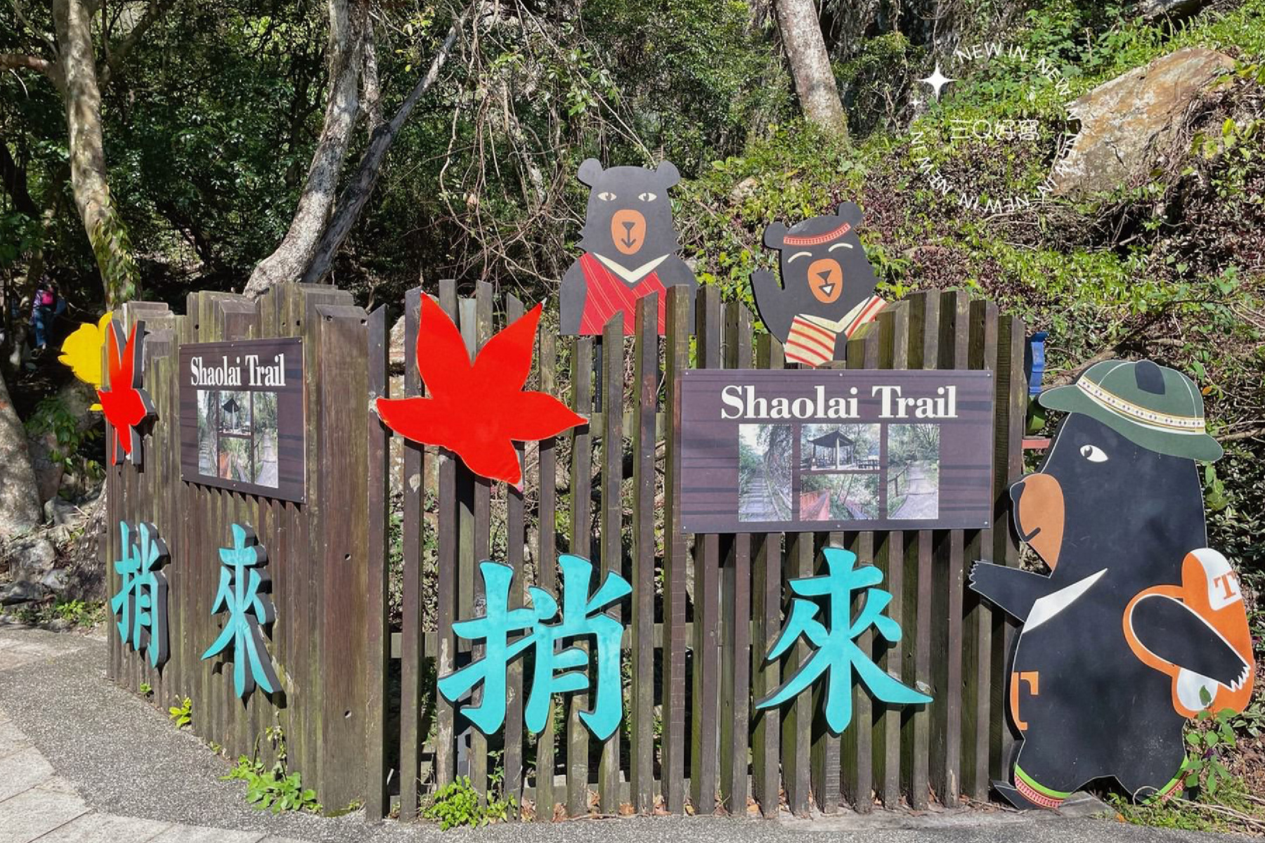 台中寶熊漁人體驗 採葡萄  谷關溫泉豐富二日遊12