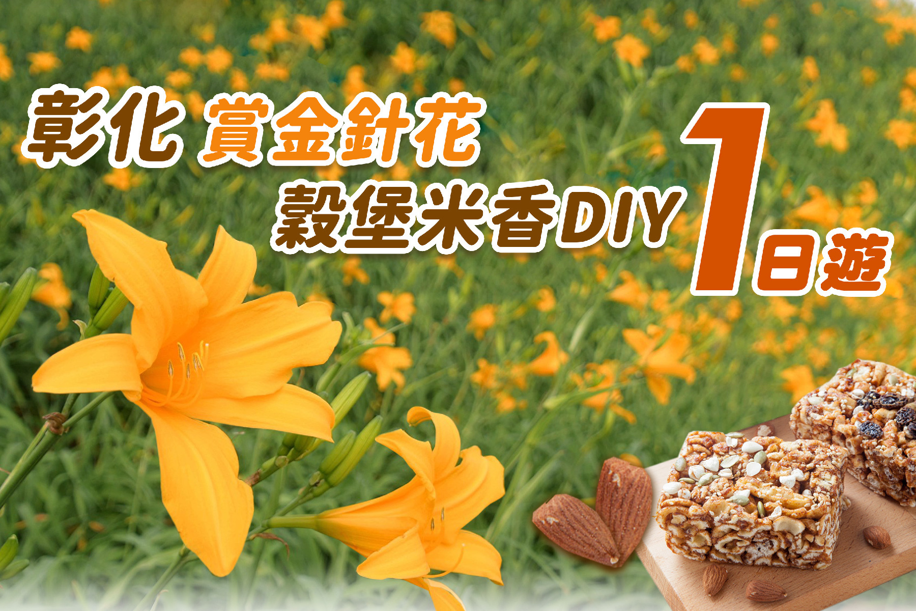 彰化賞金針花 穀堡米香DIY一日遊1