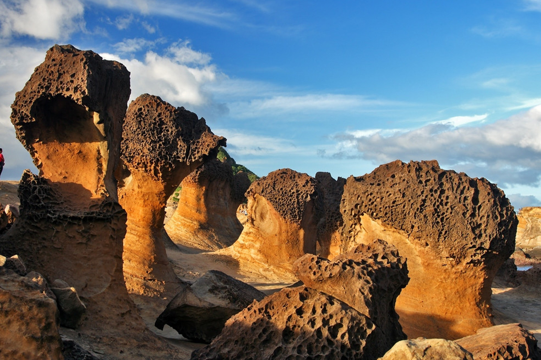 北台灣悠閒走春二日GO8