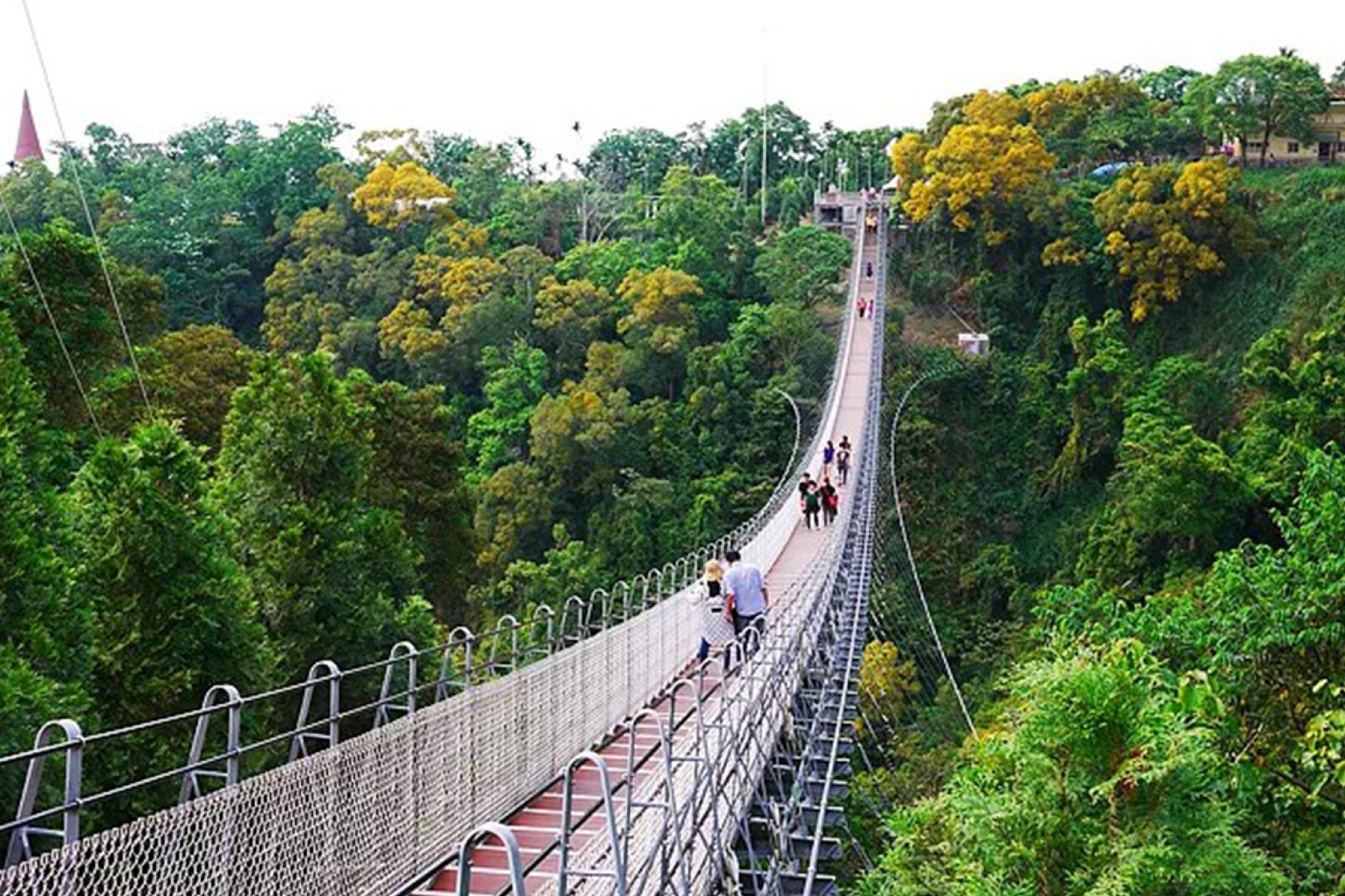 奧萬大追楓二日遊2