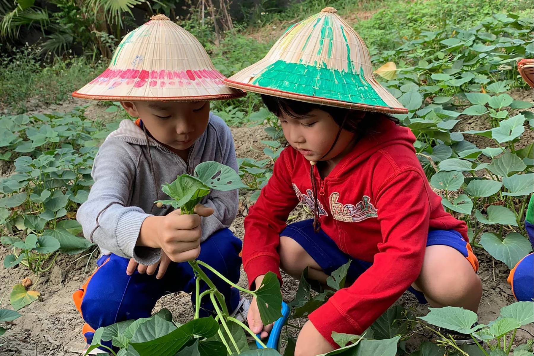 高雄農春鎮生態教育農場-假日鮮採當季蔬果體驗雙人套票10