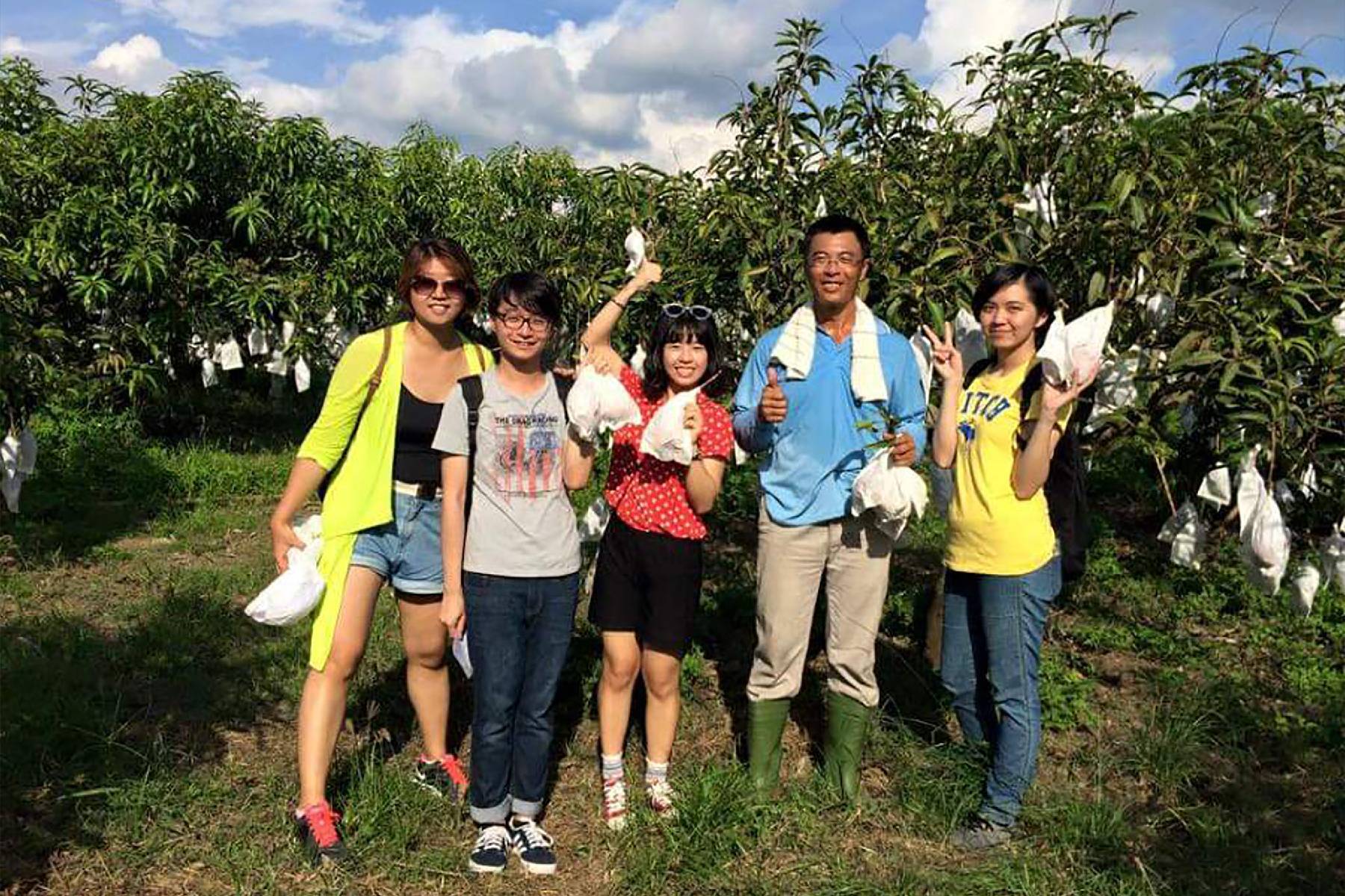 台南小崇ㄉ果園-採果(芒果)體驗券5