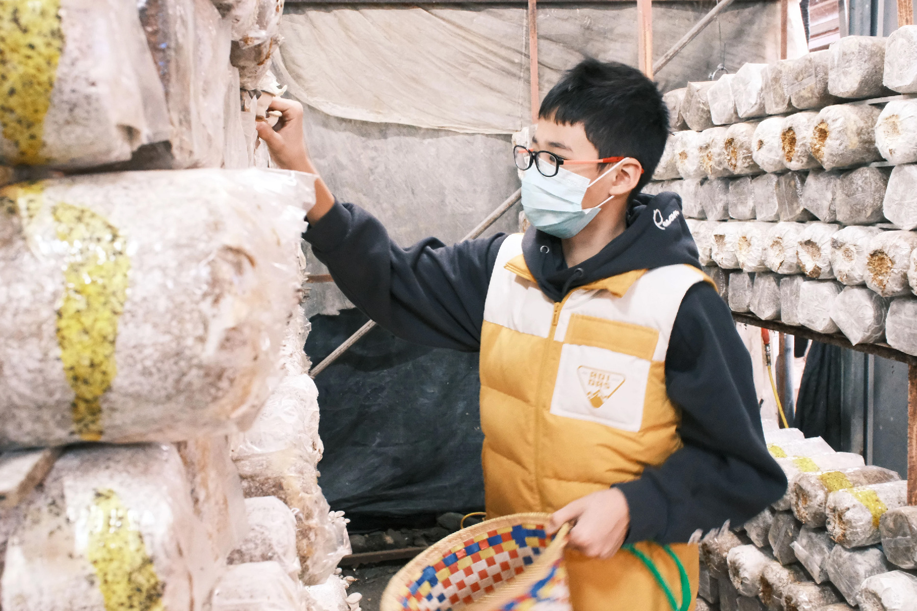 嘉里二日走透透7