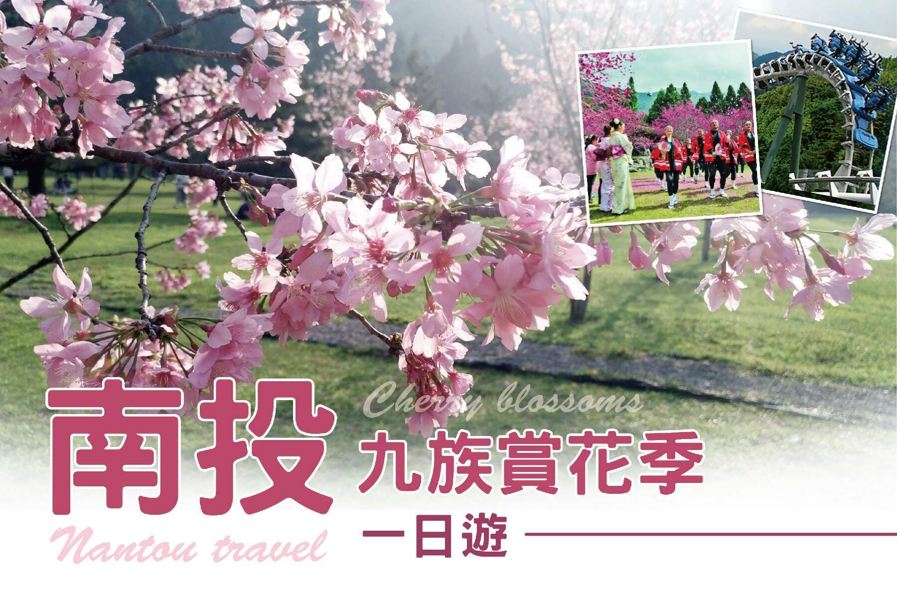 九族賞花季一日遊1