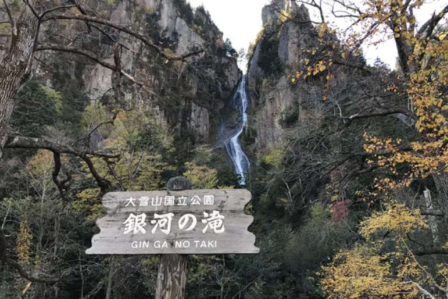 北海道旅遊｜紅葉絕景.旭山動物園.小樽漫遊.銀河流星瀑布五日7