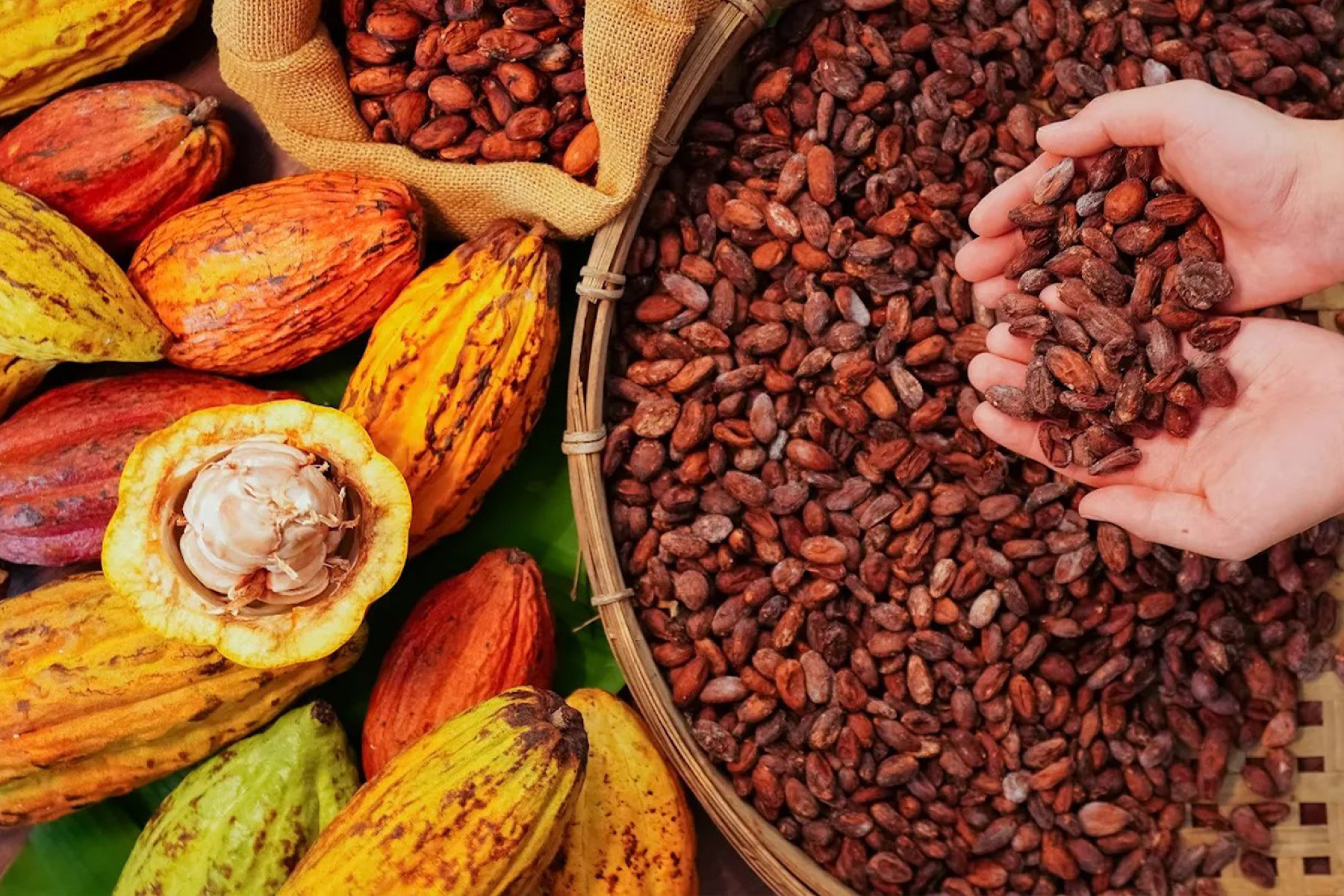 馬上開運~高山巖福德宮+恆春古城魅力商圈+阿信巧克力農場1日2