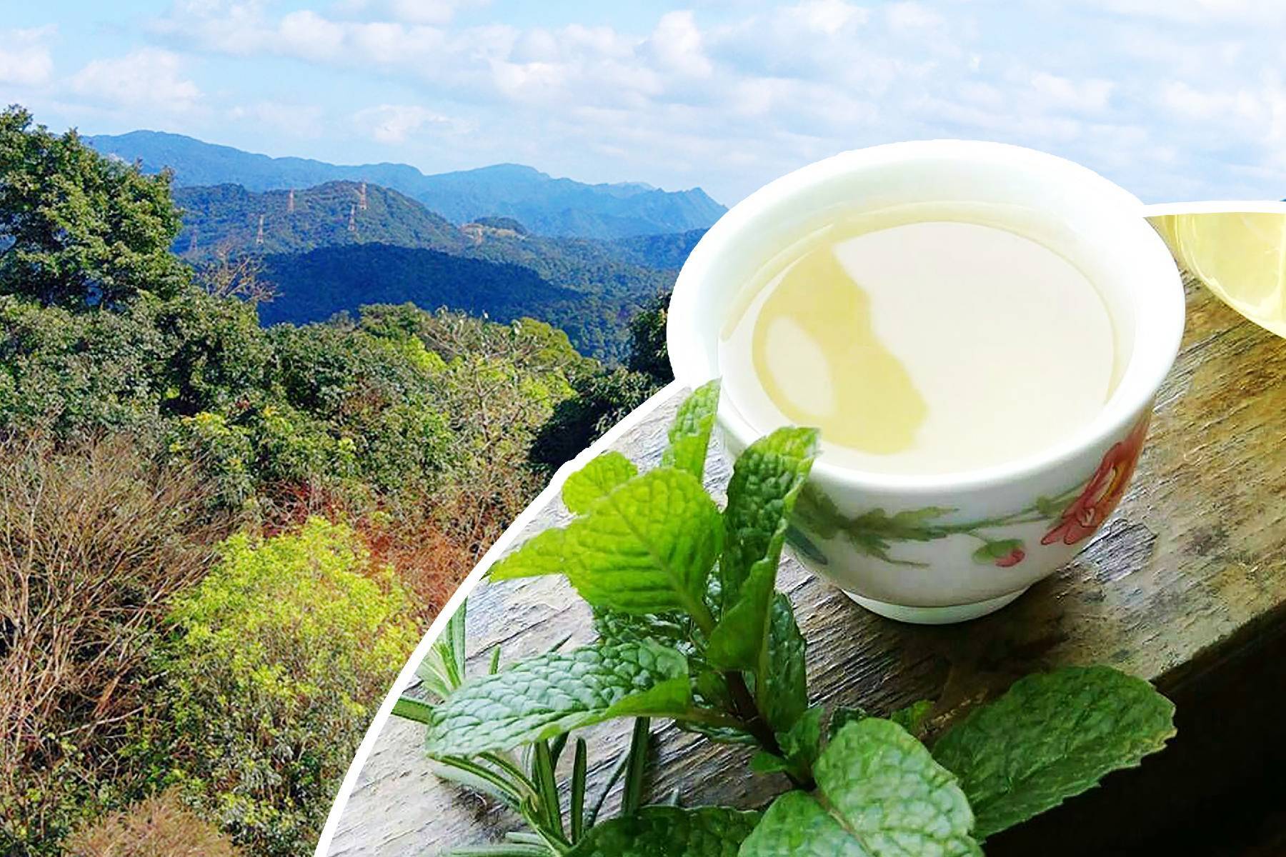 青山香草教育農園-假日香草午茶套餐券1