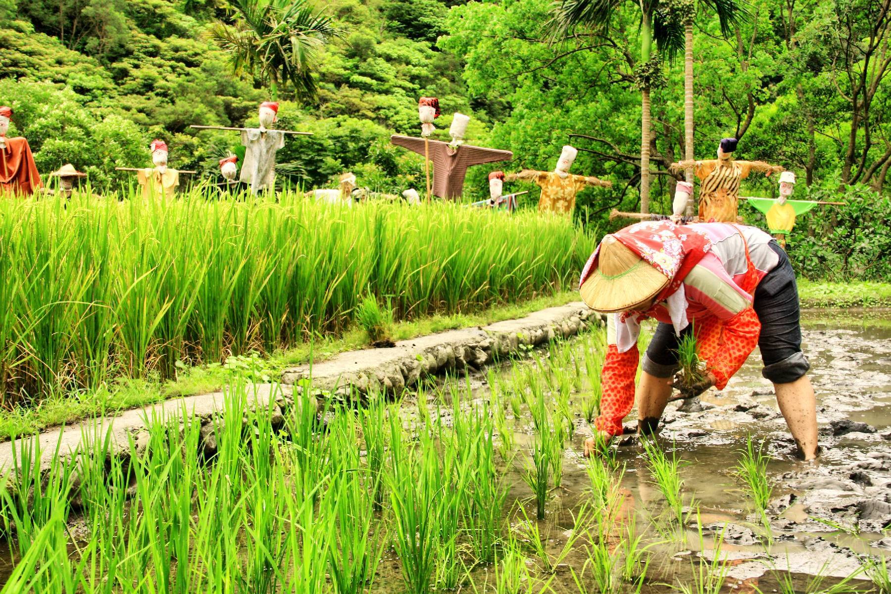 宜蘭頭城休閒農場-農夫一日遊券3