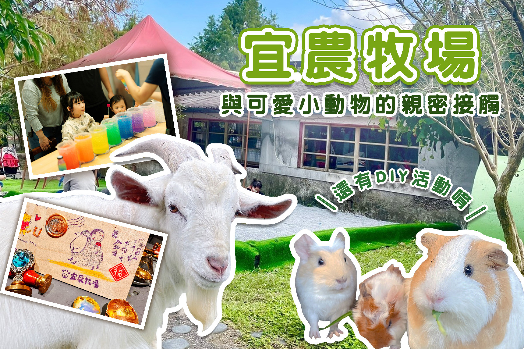 宜蘭宜農牧場-小動物同樂趣+季節限定DIY體驗券1