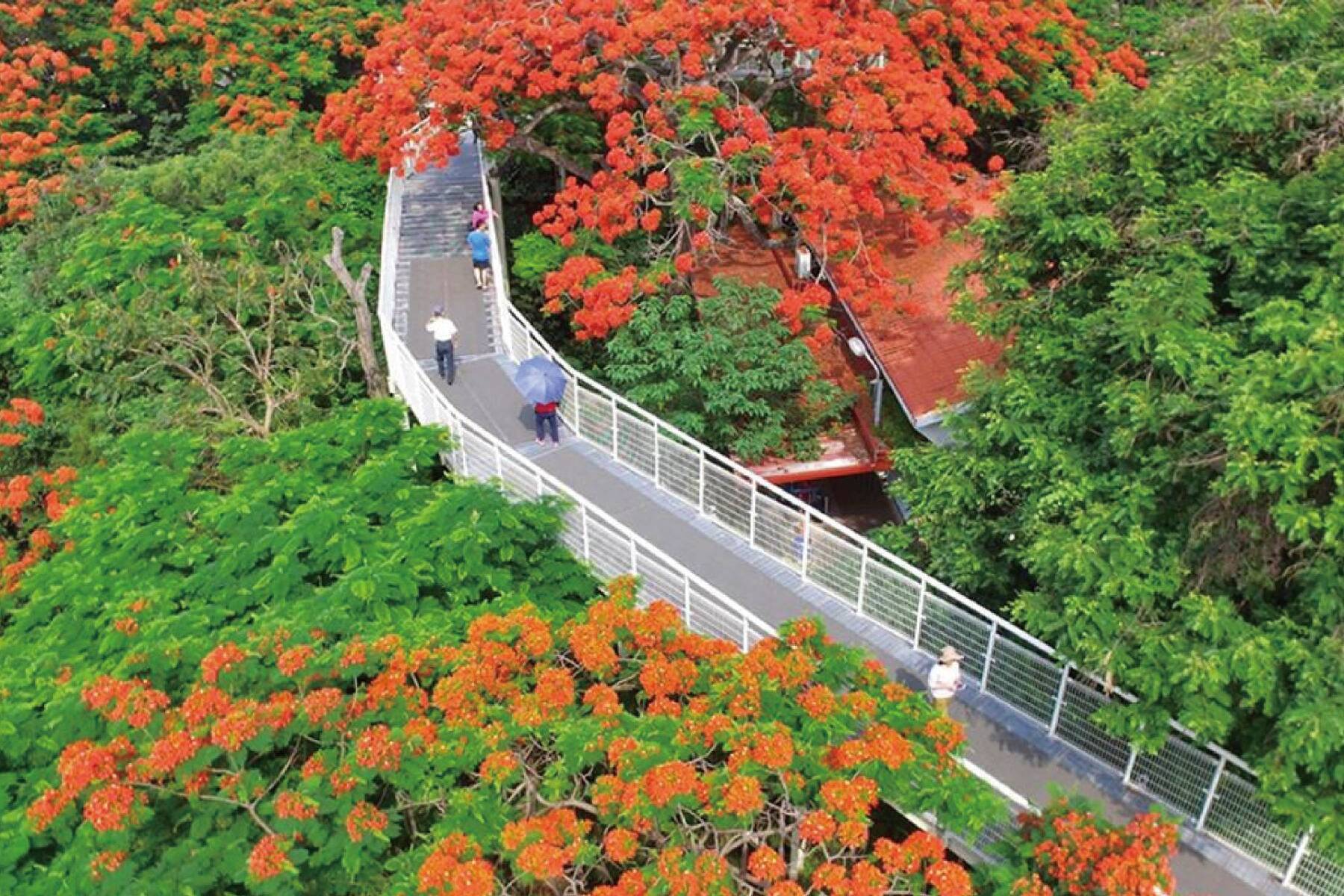 彰化八卦山/怪獸百寶村/鹿港老街~熱點一日遊5