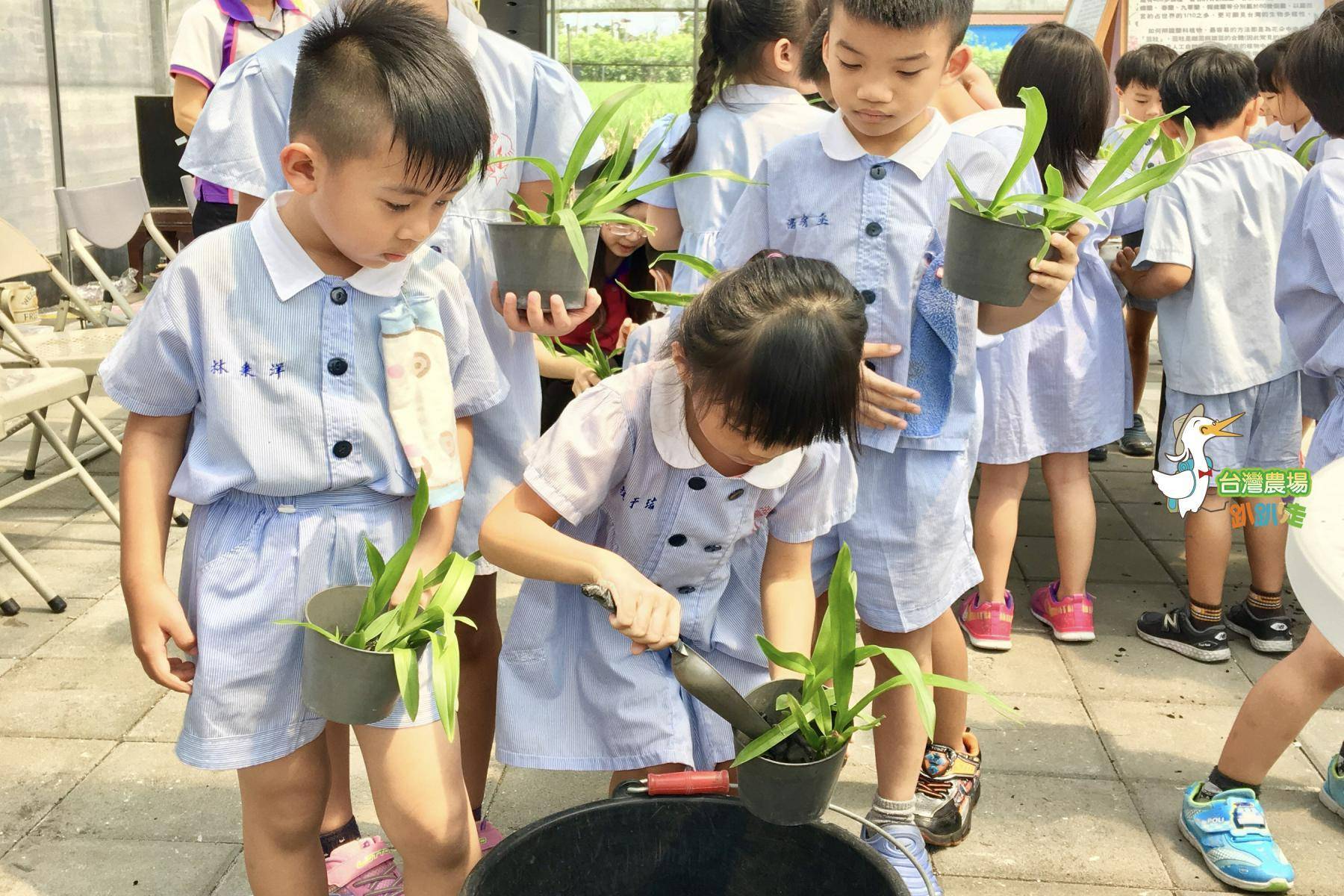 屏東-天使花園休閒農場-農業體驗一日遊9