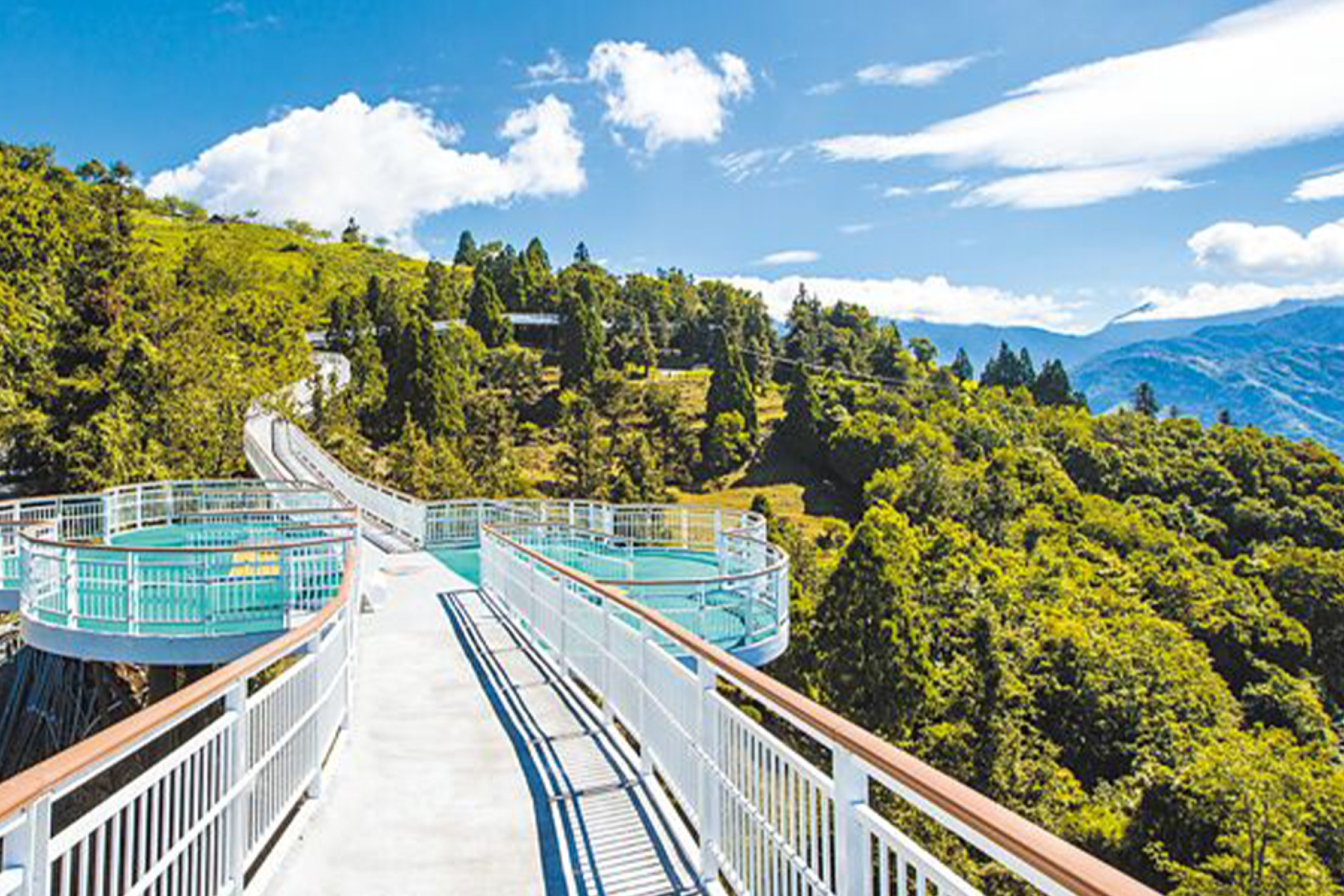 清境農場中南投二日遊(台北出發)2