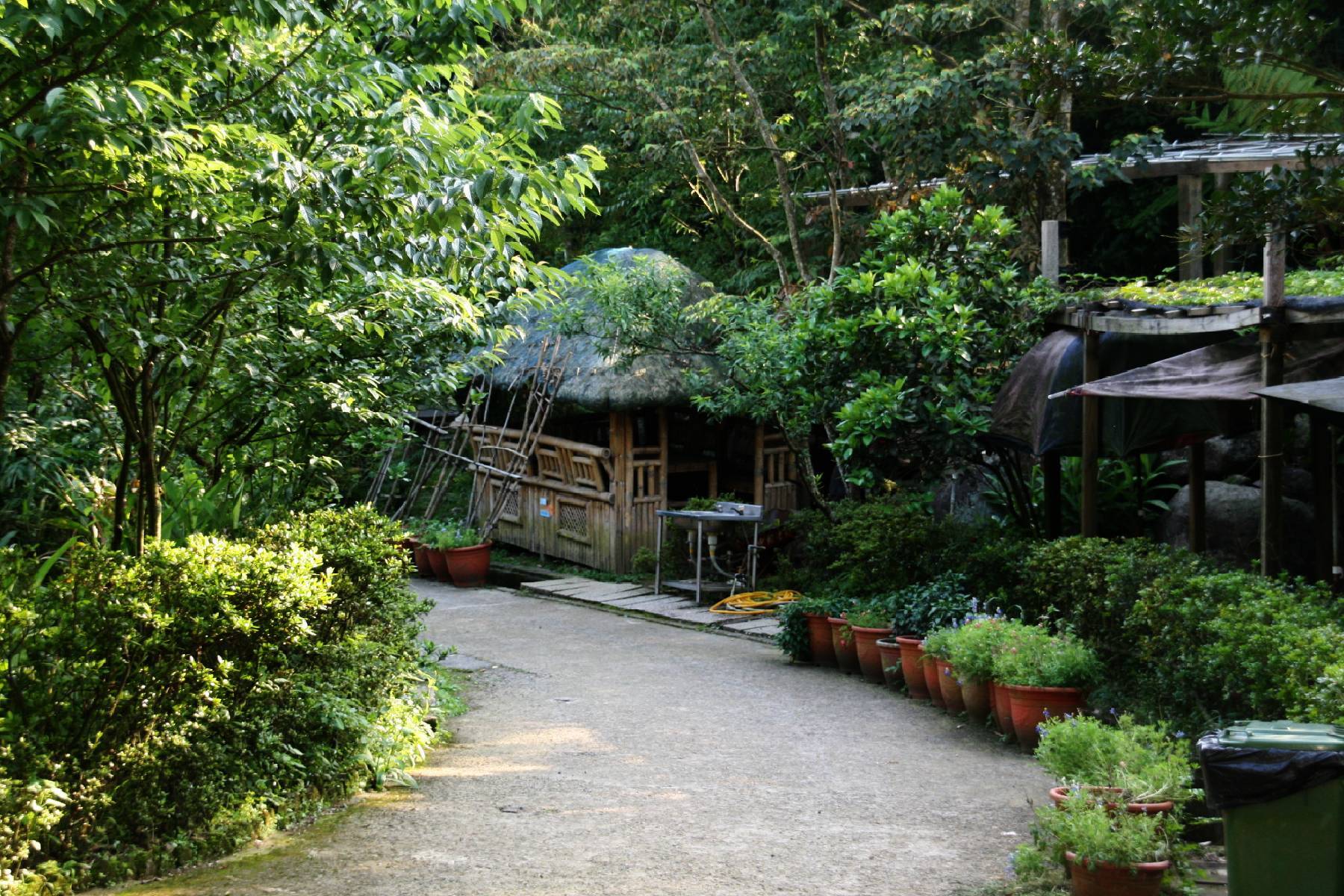 台北福田園教育休閒農場-楓咖啡館-福氣烤雞四人套餐券6