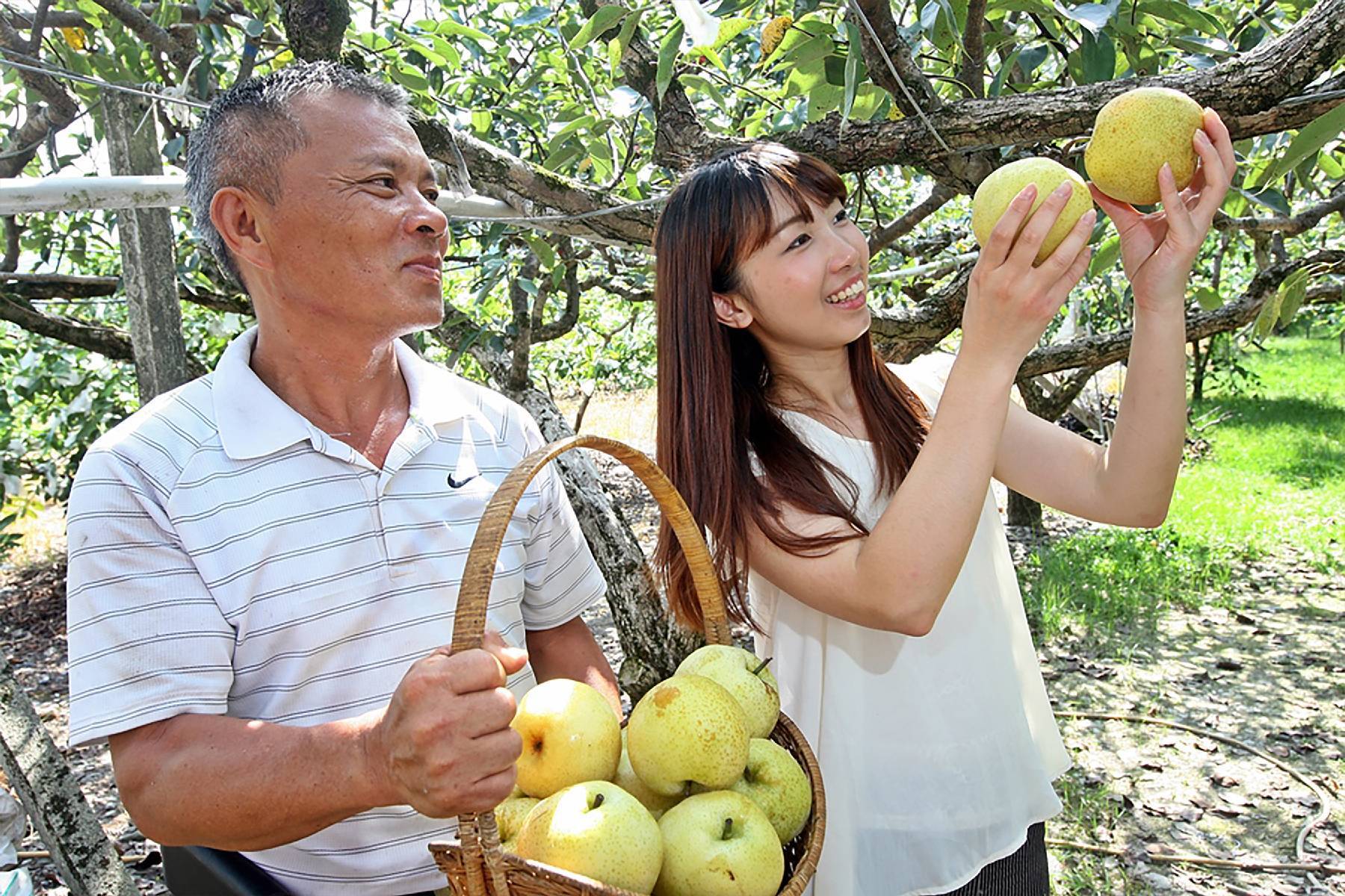 宜蘭錦普觀光果園-採果體驗券(最少2人成行)13