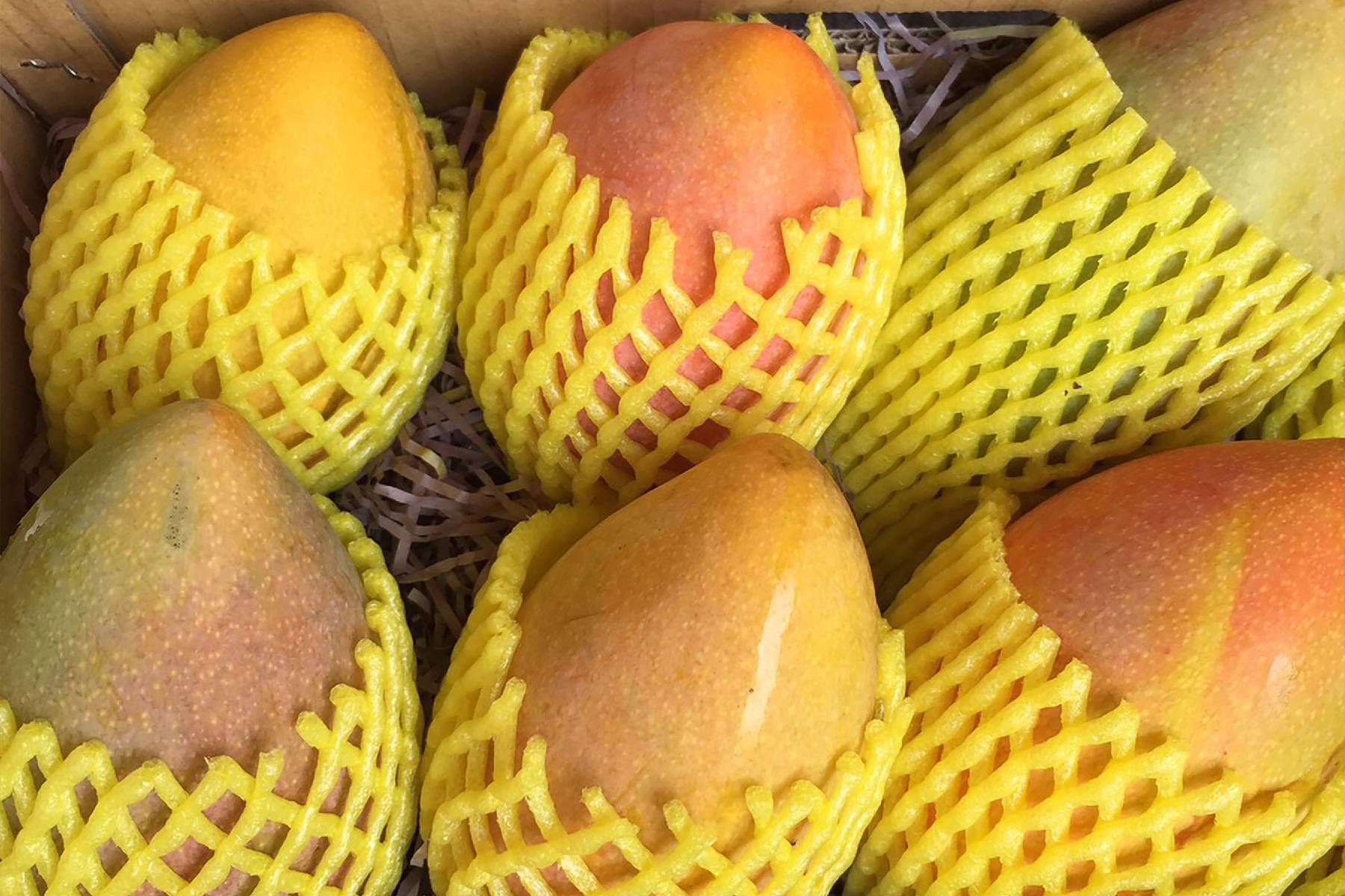 雲林橙色農作休閒果園-採果體驗券10