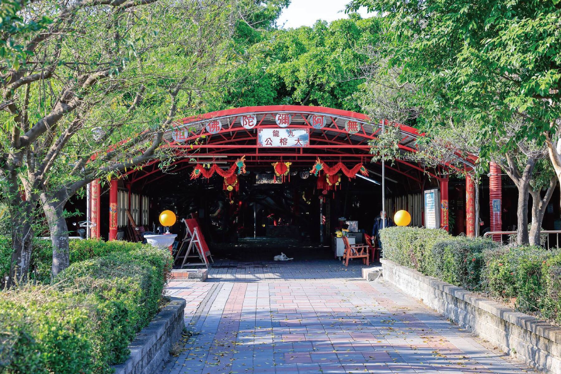 優游彰化~獨木成林九龍大榕公~溪湖糖廠消暑一日遊11