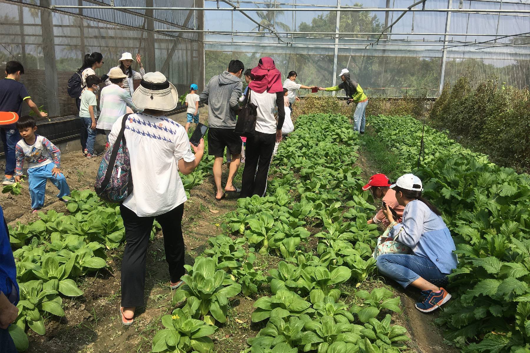 屏東蘭欣辣汗花果休閒農場-養生個人小火鍋餐券9