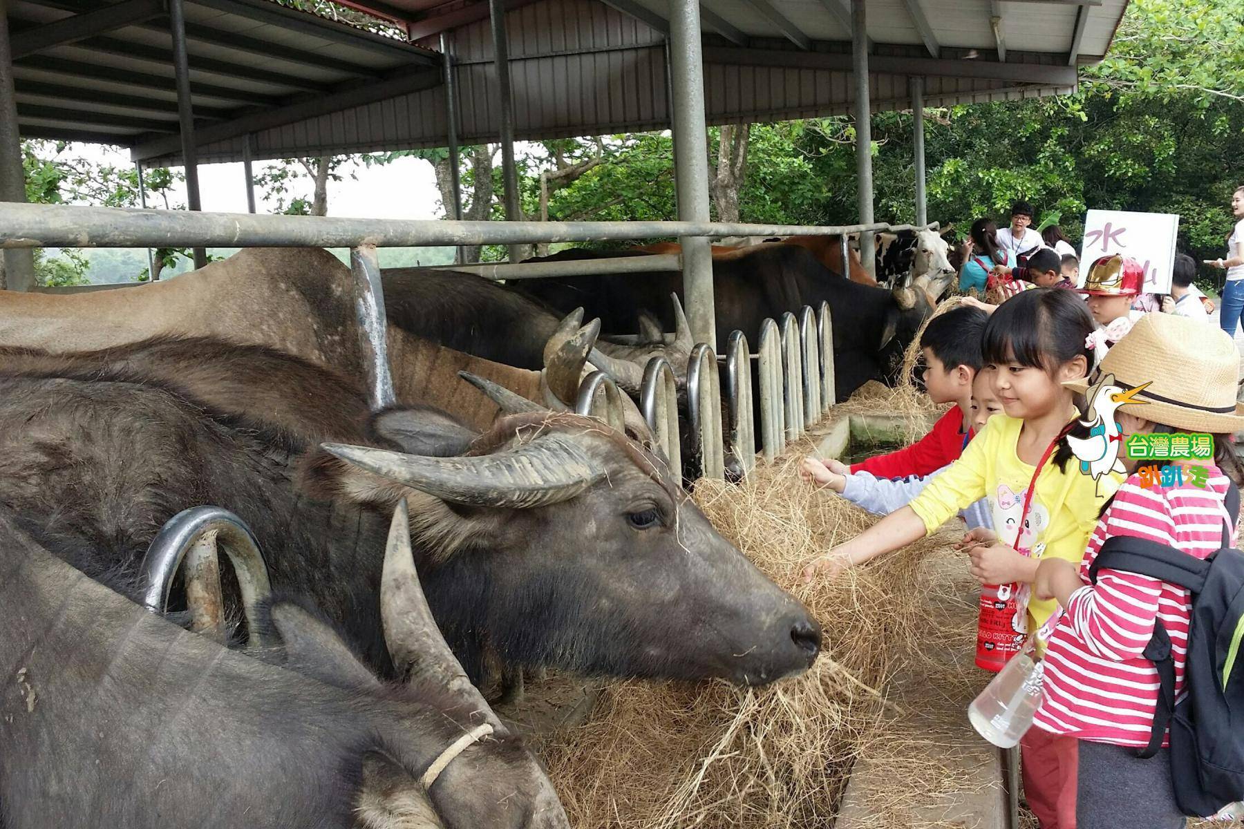 台南-走馬瀨休閒農場-農業體驗一日遊11