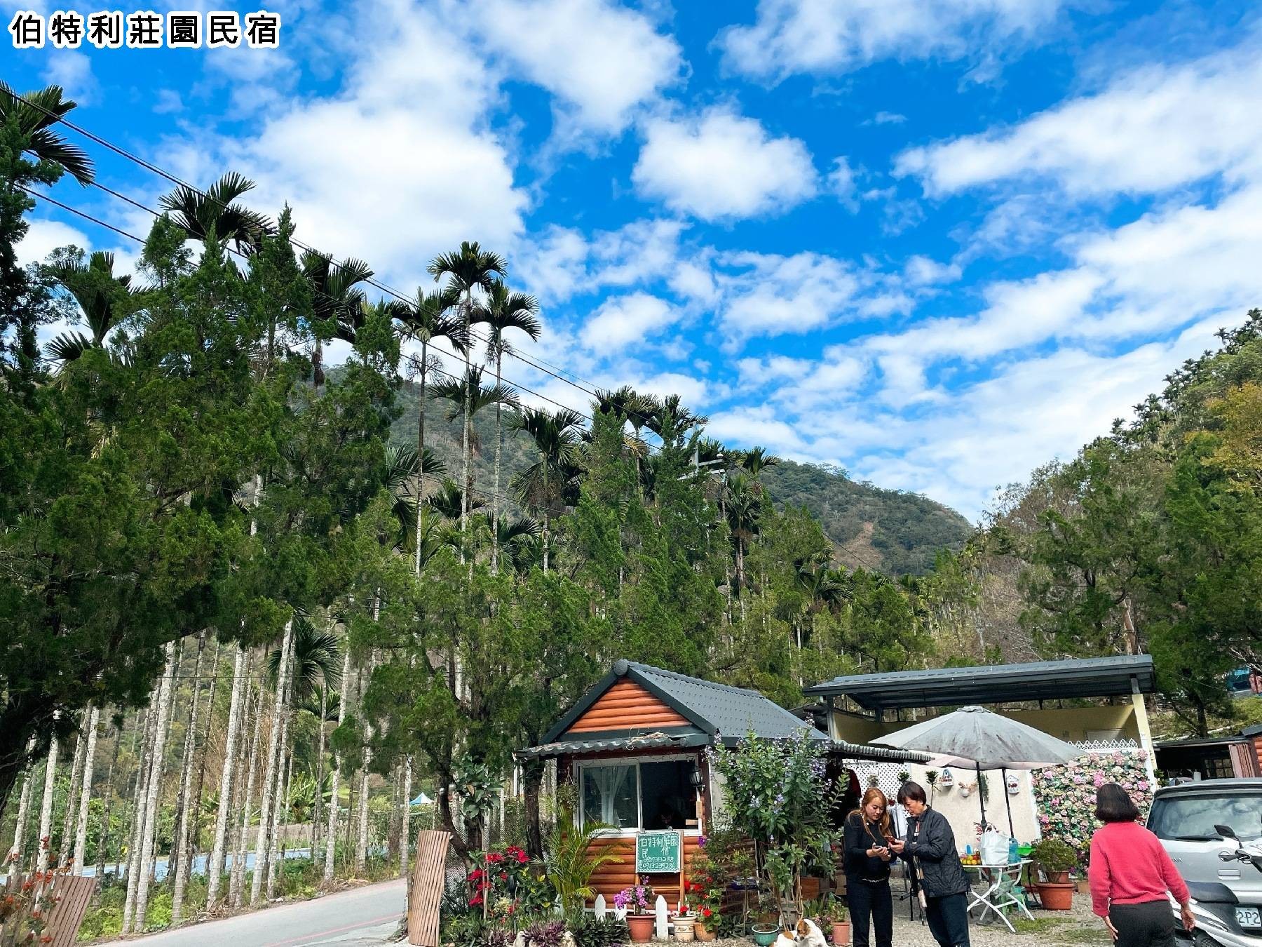 武界雲的部落 布農茶園日出2日遊26