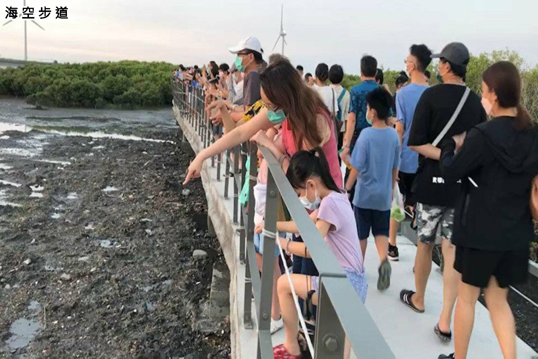 夏季旅遊補助GO-清境鹿港二日遊13