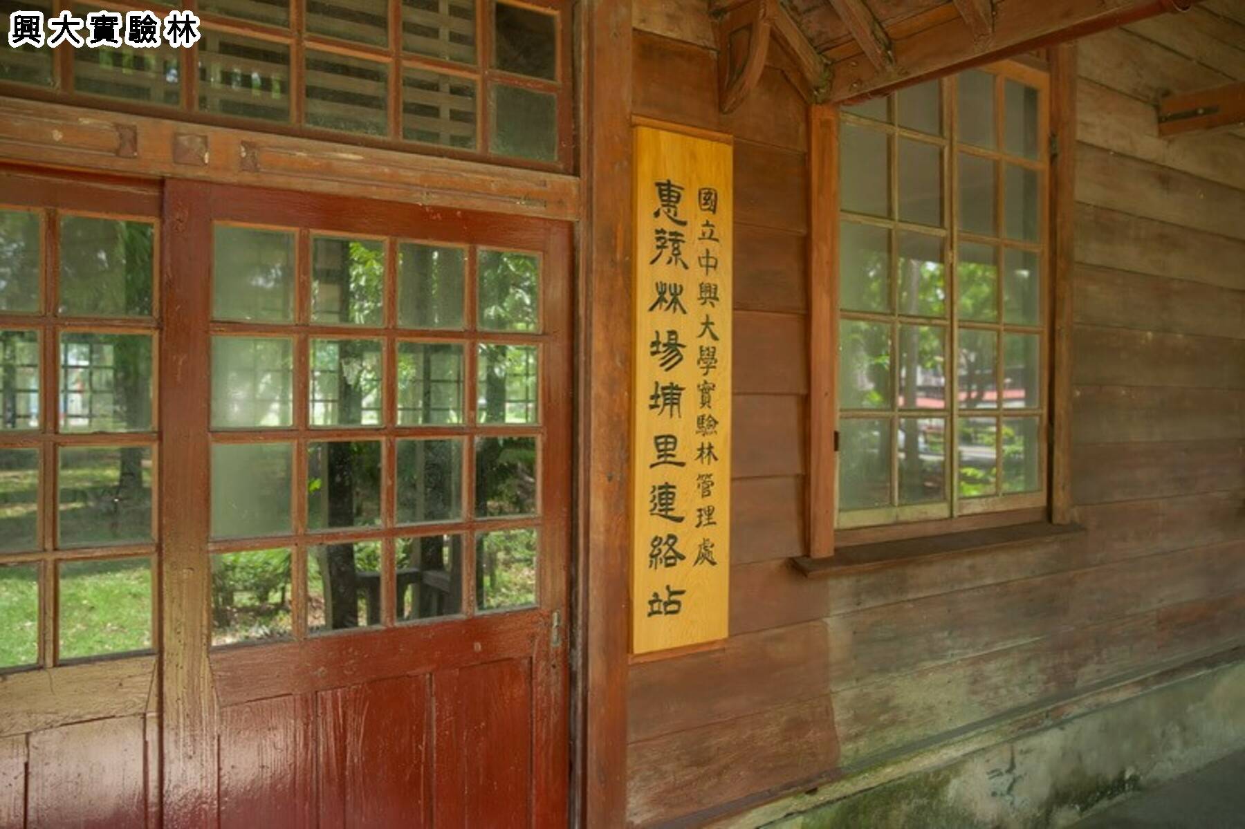 武界雲的部落 布農茶園日出2日遊5