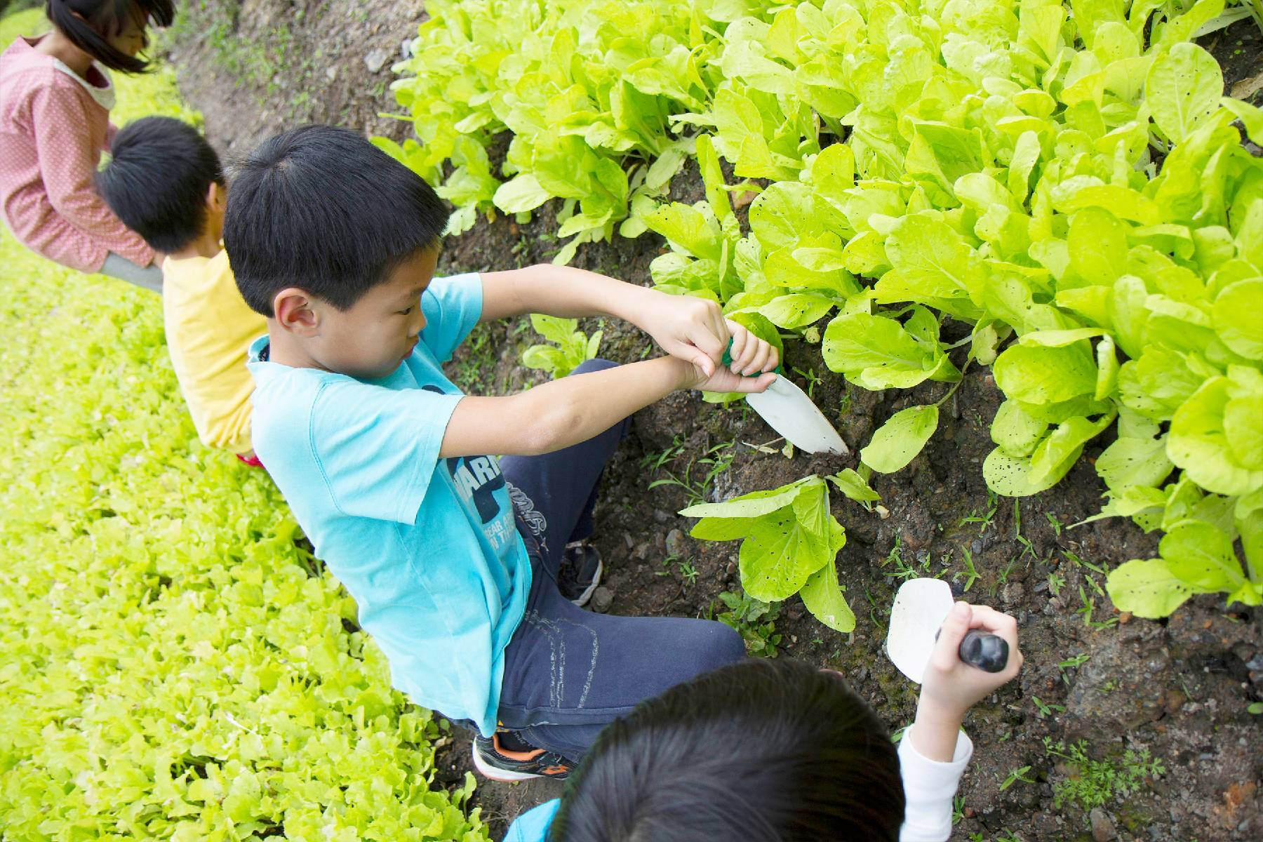宜蘭頭城休閒農場-農夫一日遊券11