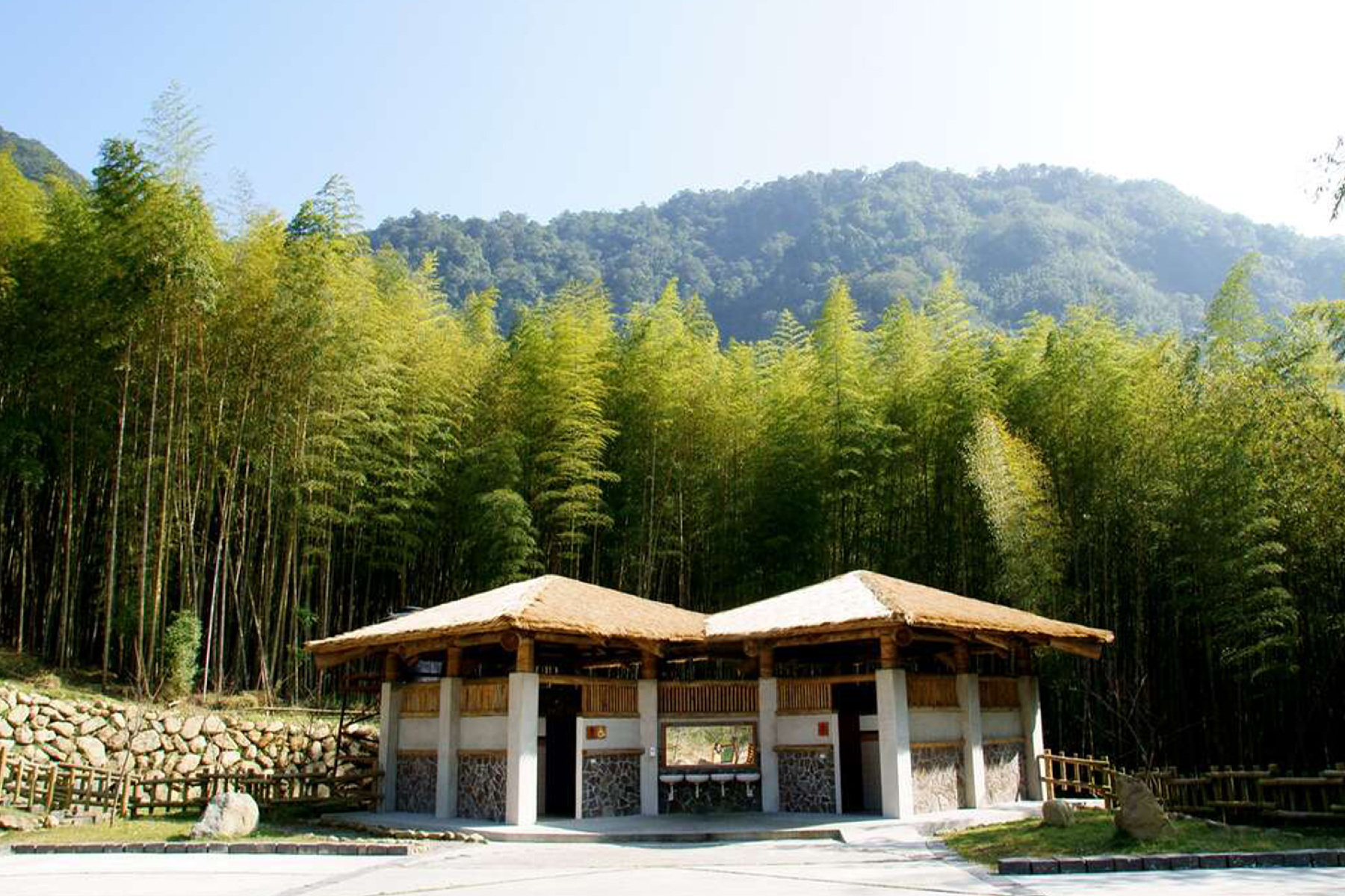來嘉走走~阿里山迷糊步道.奮起湖一日遊2