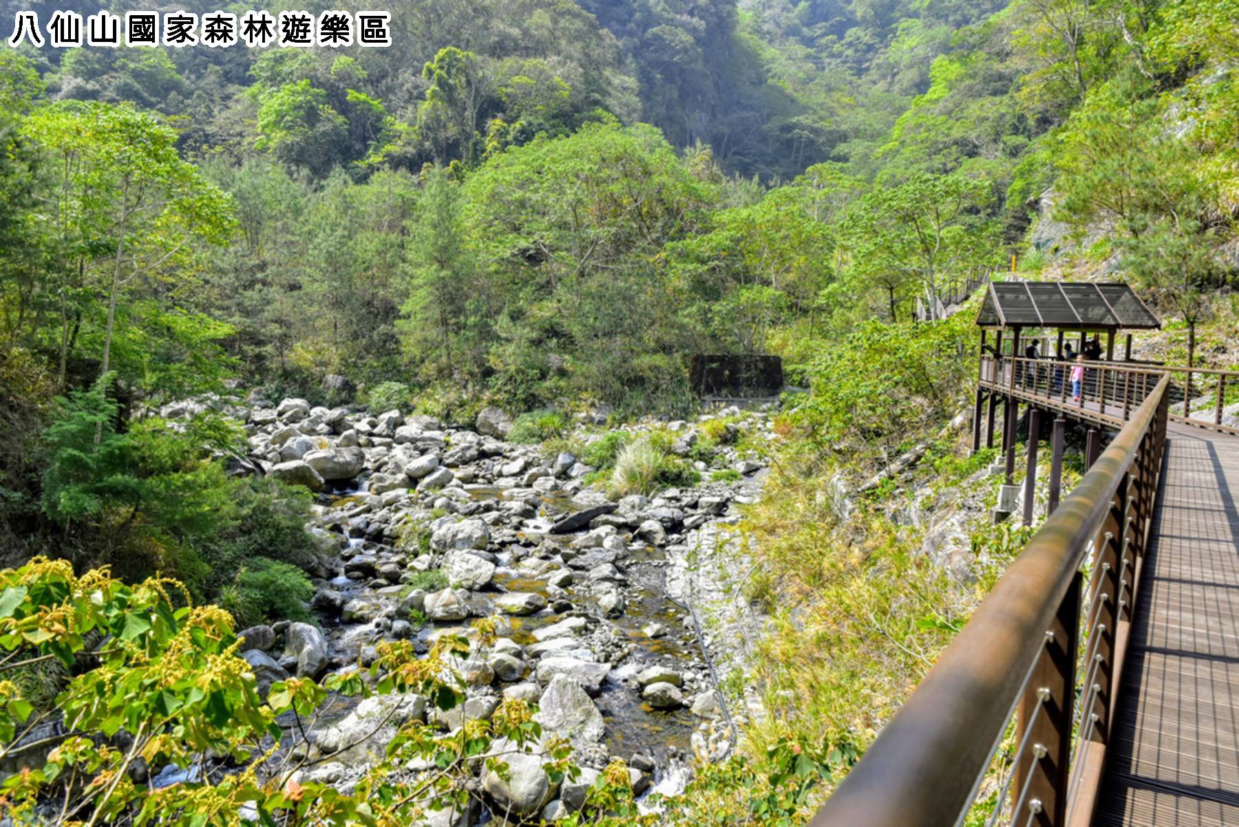 大加碼旅遊補助GO-安妮公主午宴．谷關八仙山二日遊19