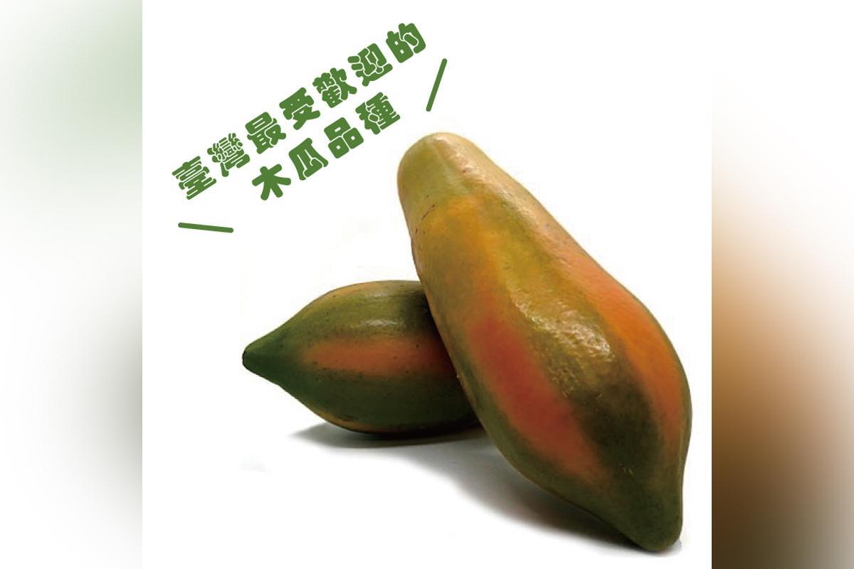 木瓜爸爸-富春山農場 台農二號木瓜6台斤1箱 提貨券3