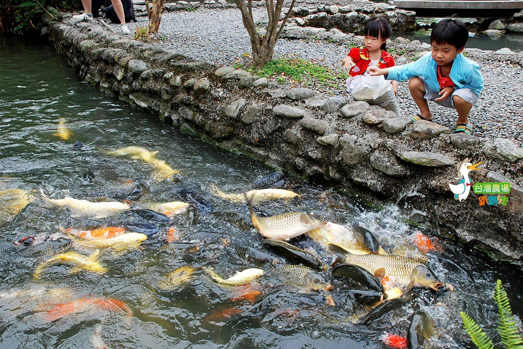 宜蘭-八甲休閒魚場-田園美食一日遊3