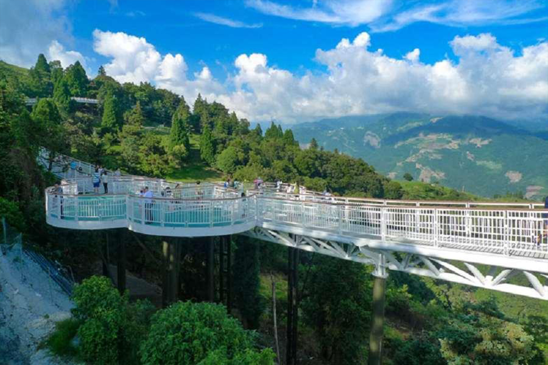 清境農場中南投二日遊(台北出發)4