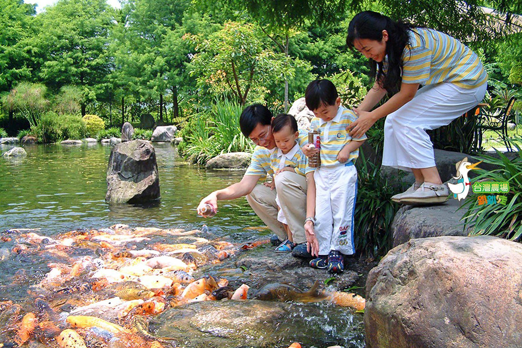 宜蘭-三富休閒農場-採果(文旦柚)體驗券13