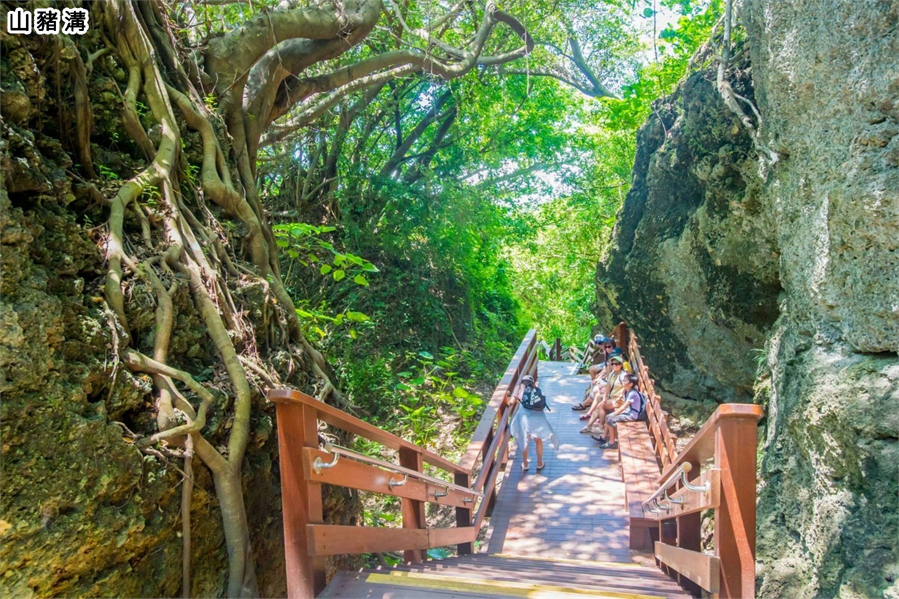 夏季旅遊補助GO-小琉球二日遊4