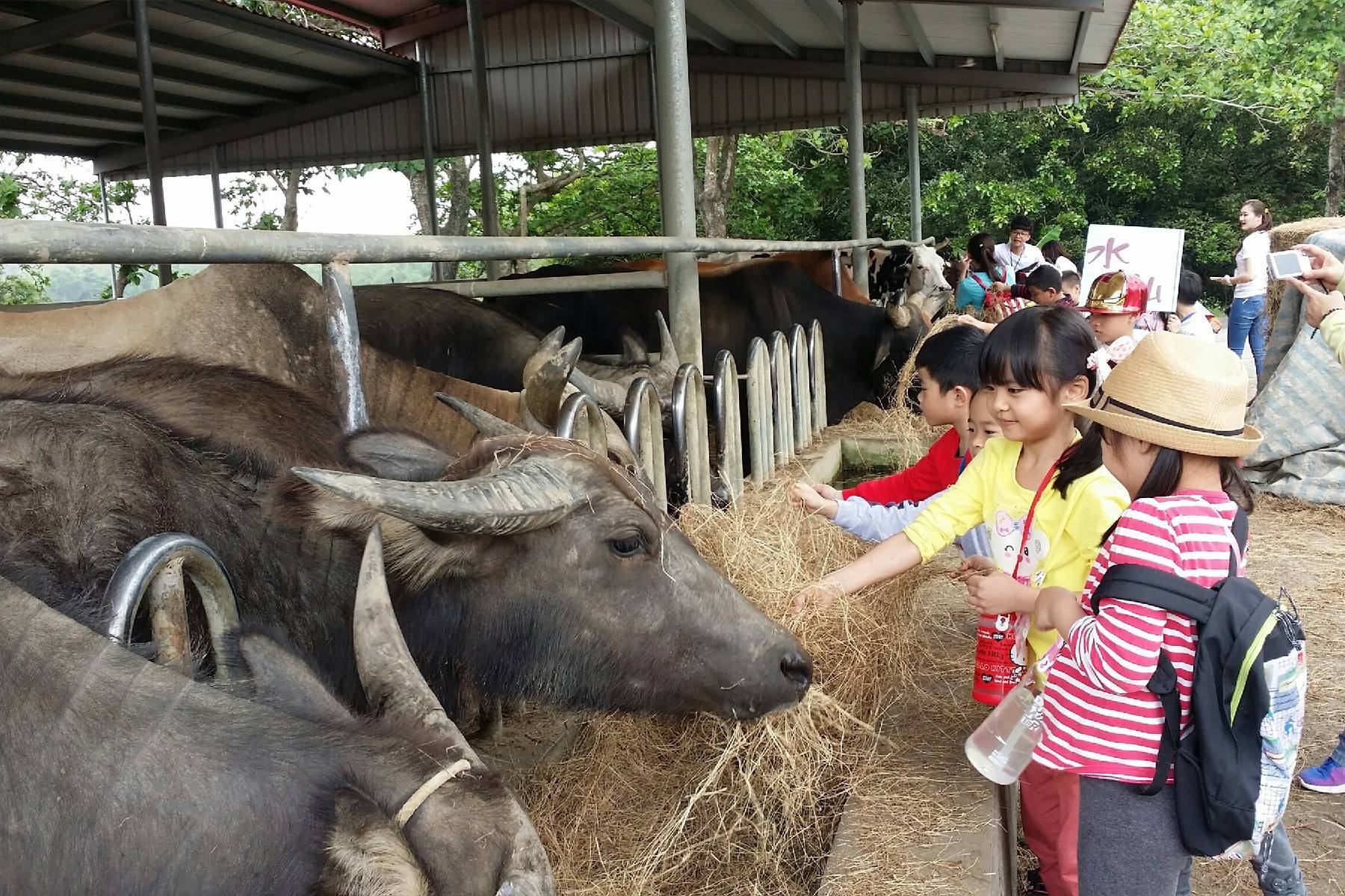 台南走馬瀨農場-平日雙人房套裝住宿券21