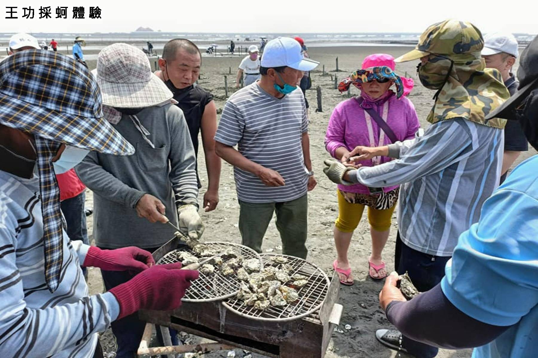 大加碼旅遊補助GO-彰化王功採蚵嘉義奮起湖二日遊7