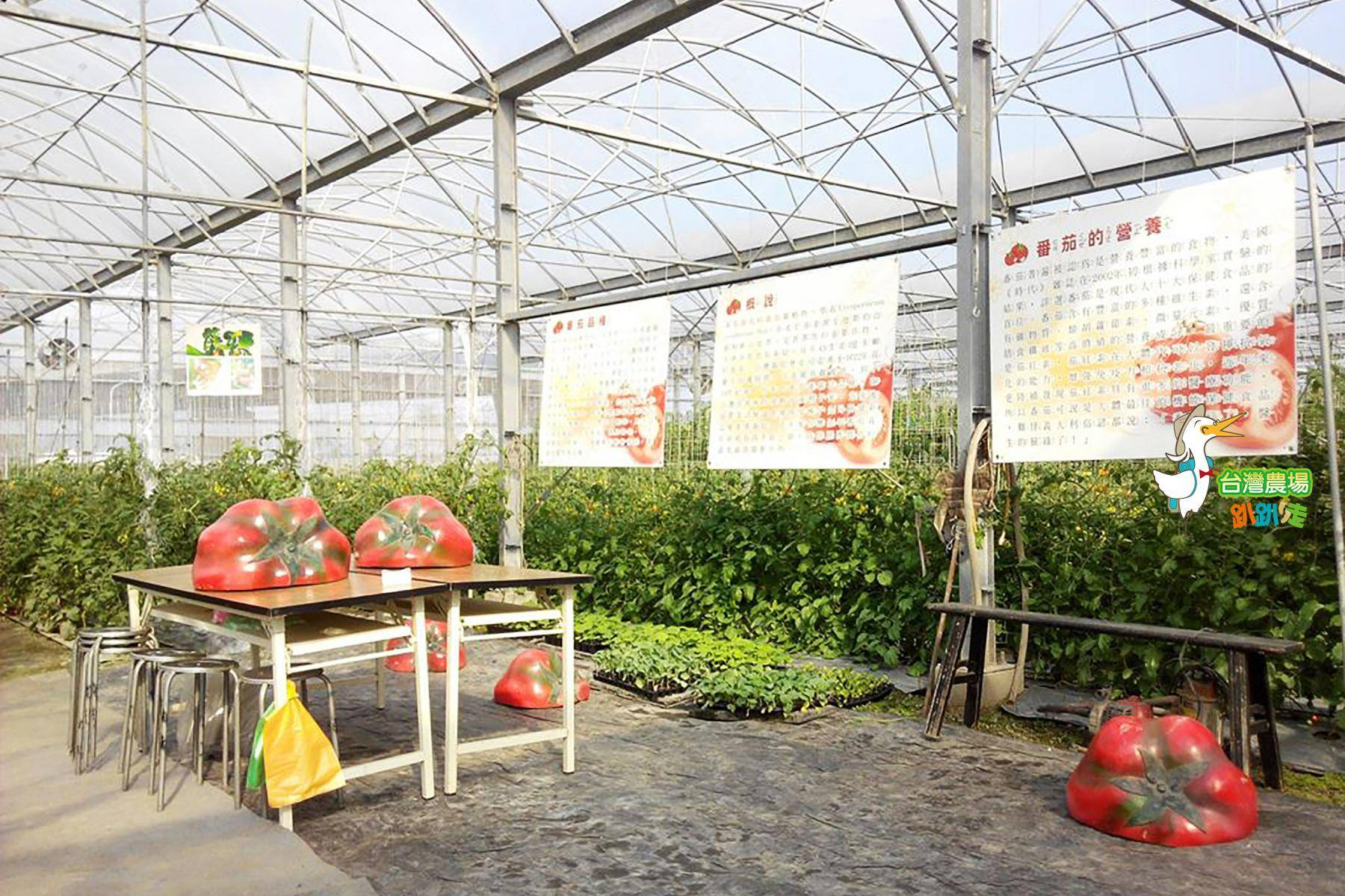 宜蘭-藤結教育農場-採果(番茄)體驗券1