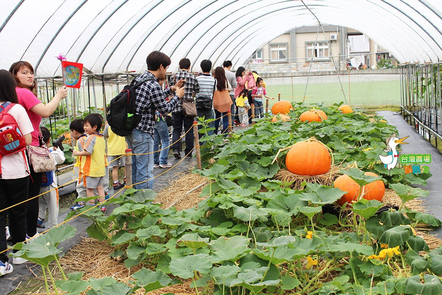 宜蘭-旺山休閒農場-田園美食一日遊1