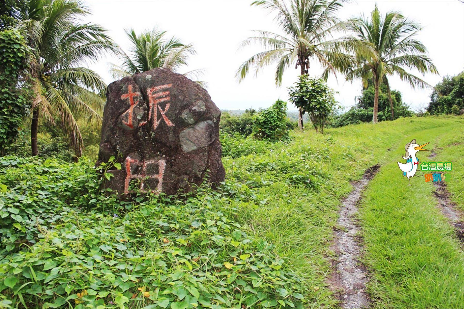 台東-都蘭山花田農園-採果(酪梨、釋迦)體驗券2