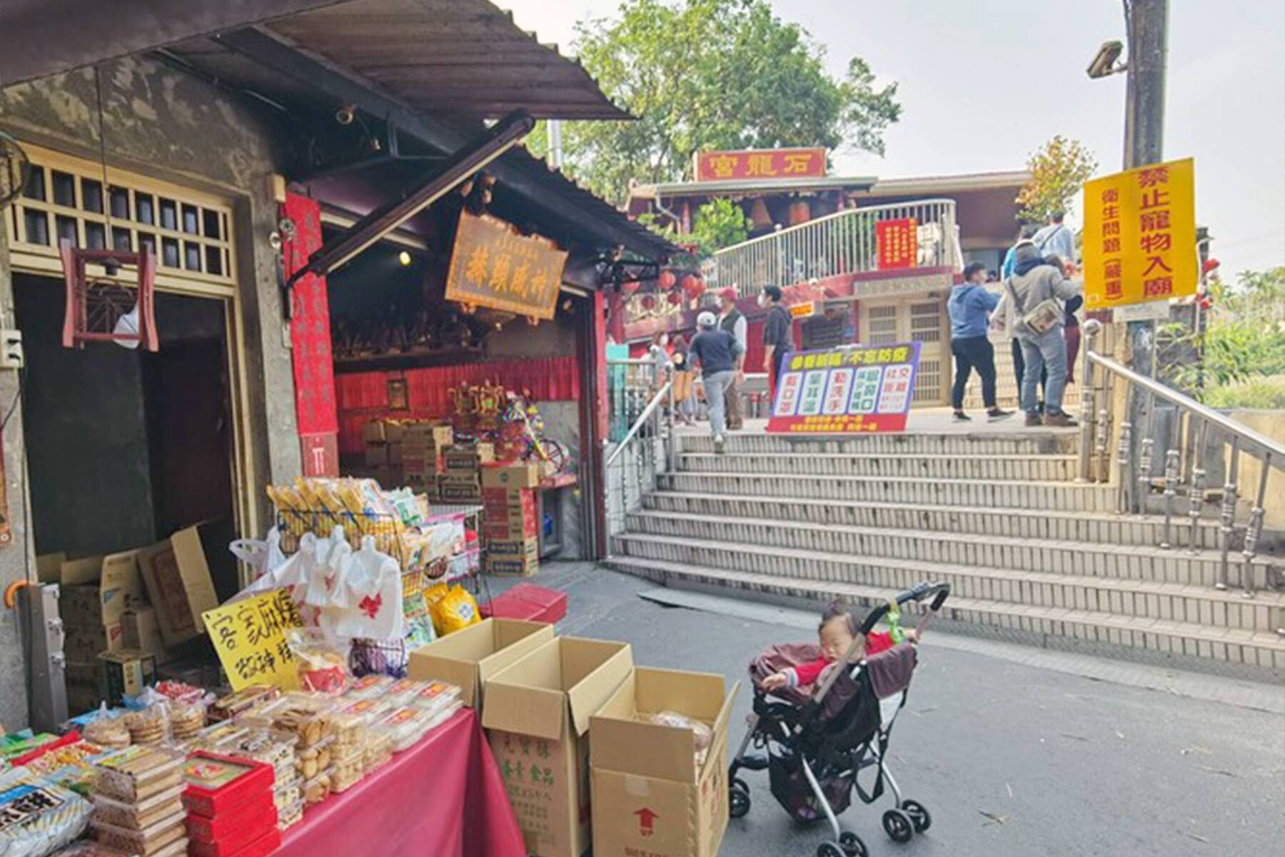 迎春見財南投一日遊7