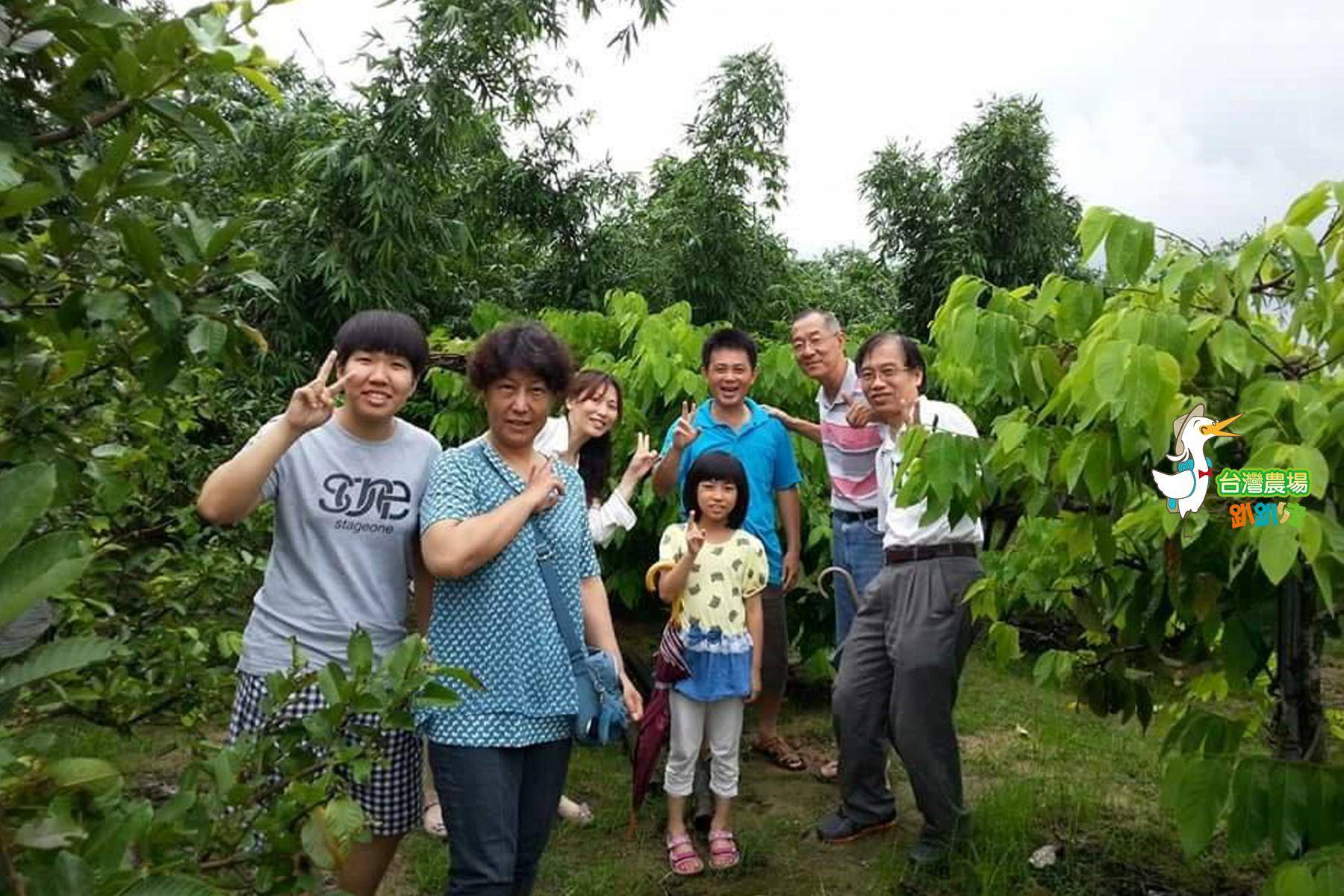 台南-釋園農場-採果體驗(芒果、釋迦)體驗券8