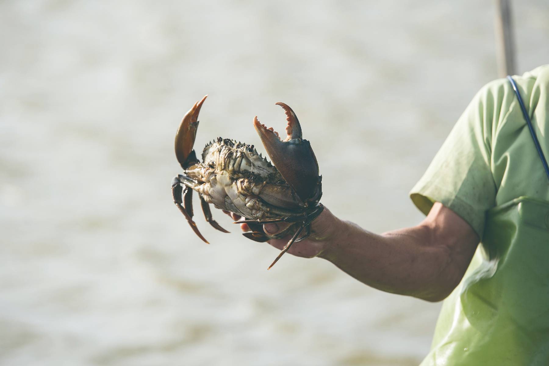 新竹水月休閒藍鯨魚寮-龍虎石斑套餐+搏魚雙人體驗券6