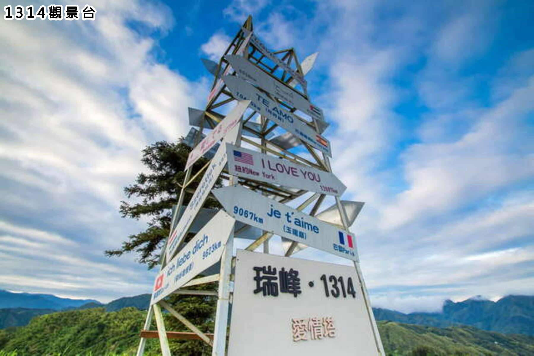 嘉義夢幻紫藤花竹林茶香一日遊2