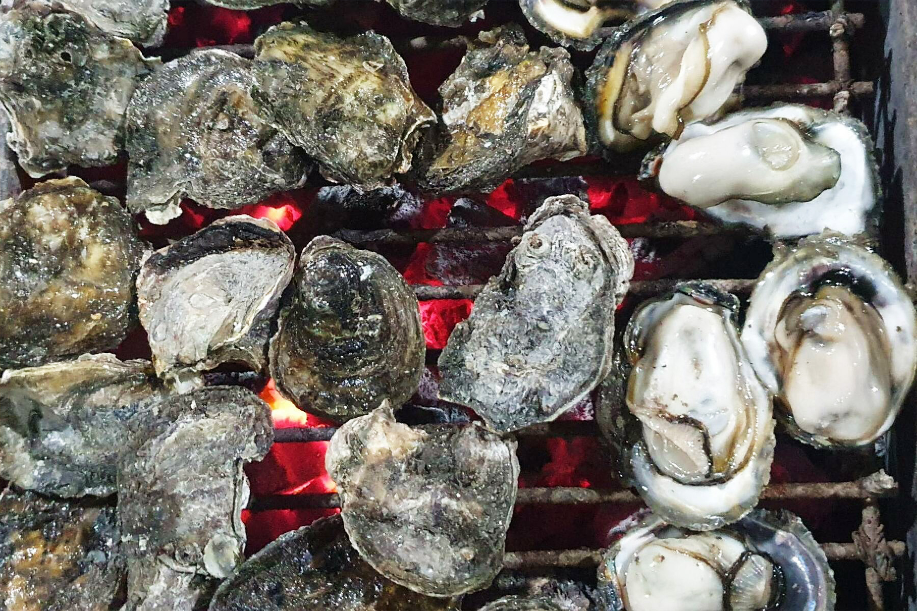 東台灣日暉溫泉度假村享樂二日遊19