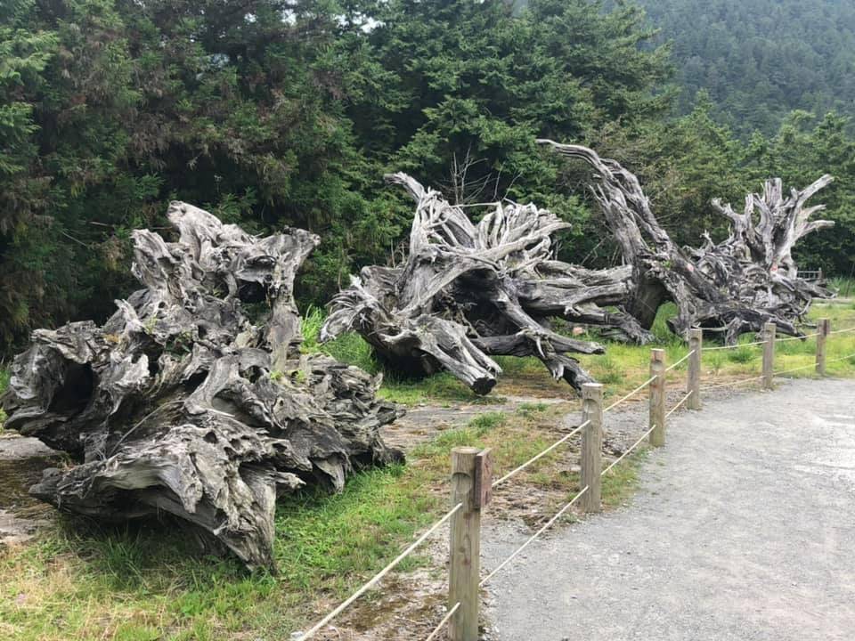 【九人座到府接送】宜蘭太平山翠峰湖+見晴步道+台北九份三日遊5