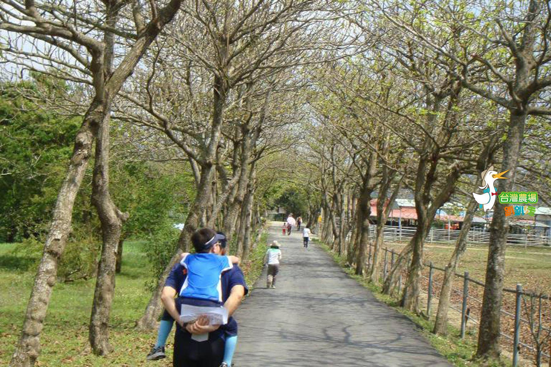 台南-走馬瀨休閒農場-田園美食一日遊4