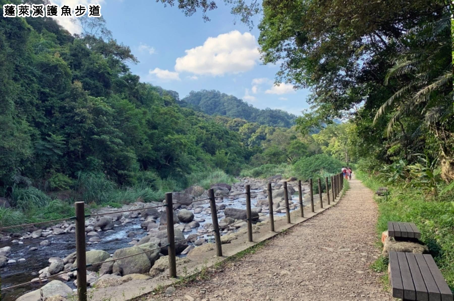 冬季旅遊補助GO-苗栗舊山線大湖採草莓二日遊7