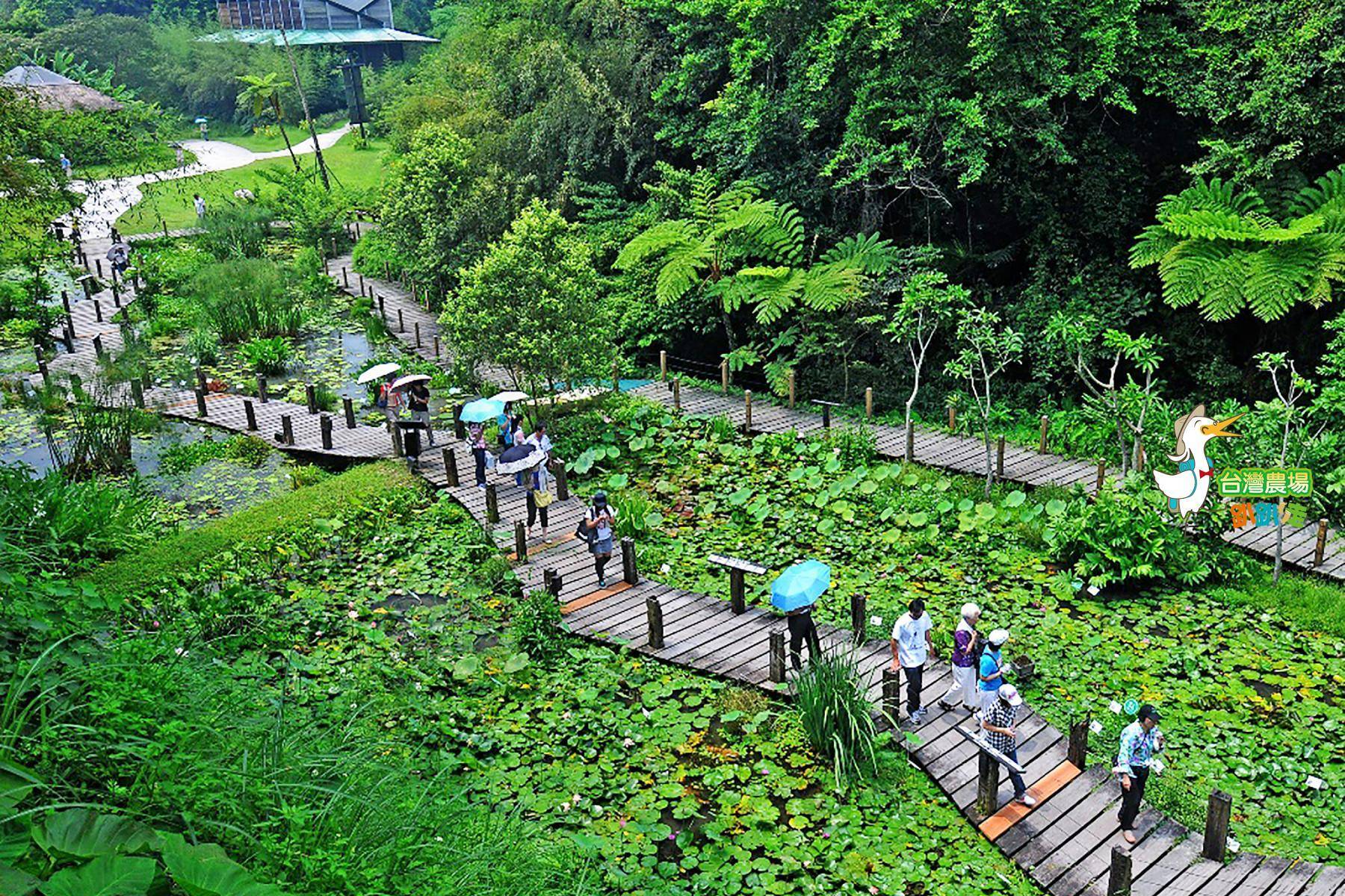 新竹-綠世界生態農場-田園美食一日遊5