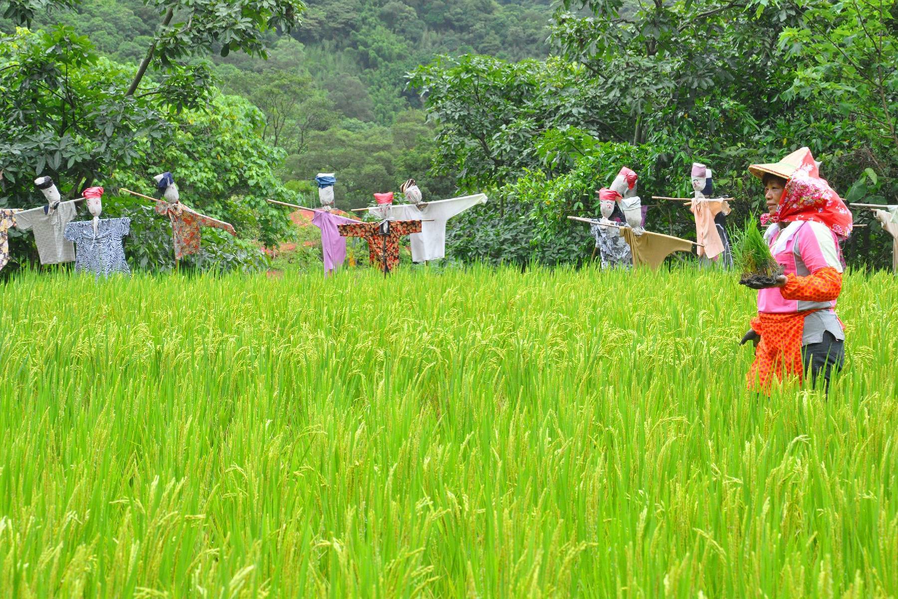 宜蘭頭城休閒農場-農夫一日遊券5