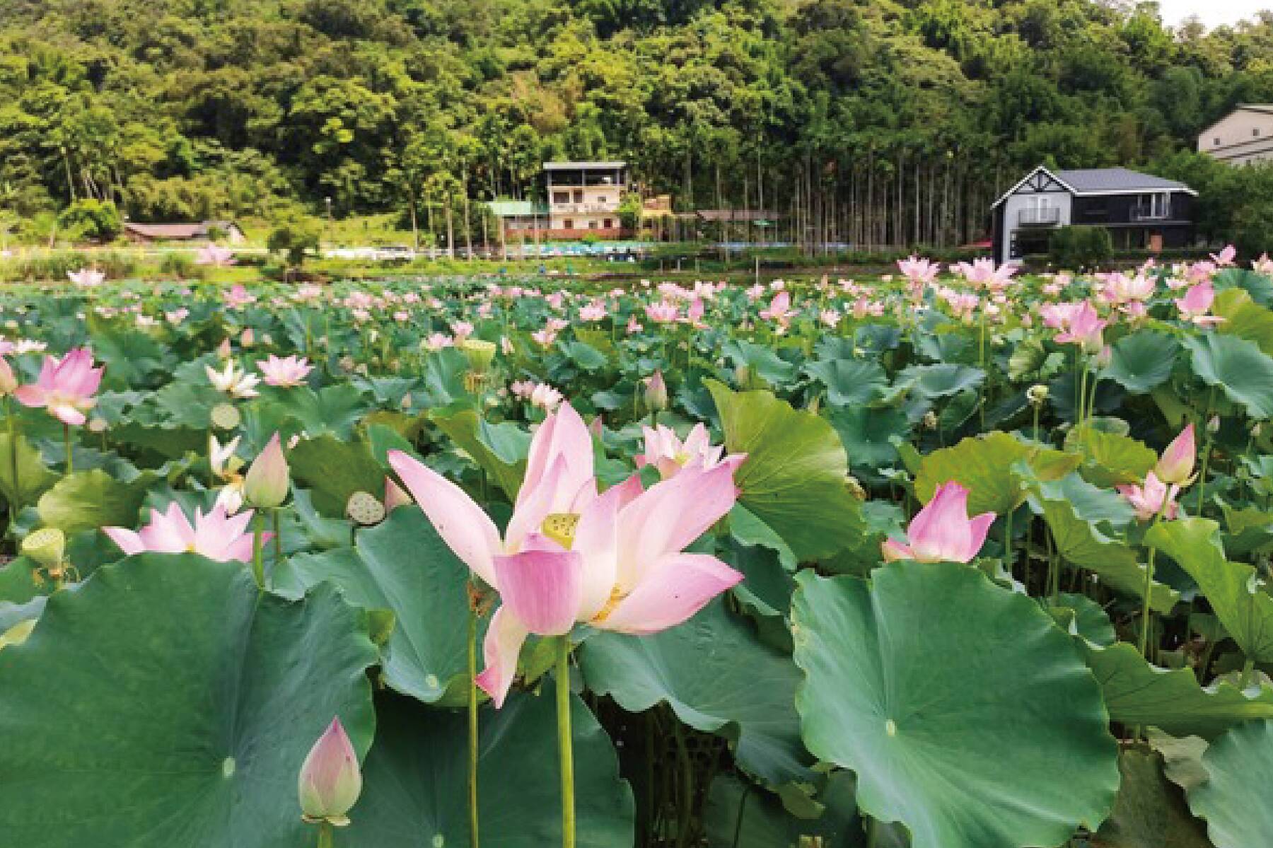 上山下海遊東北角3日8