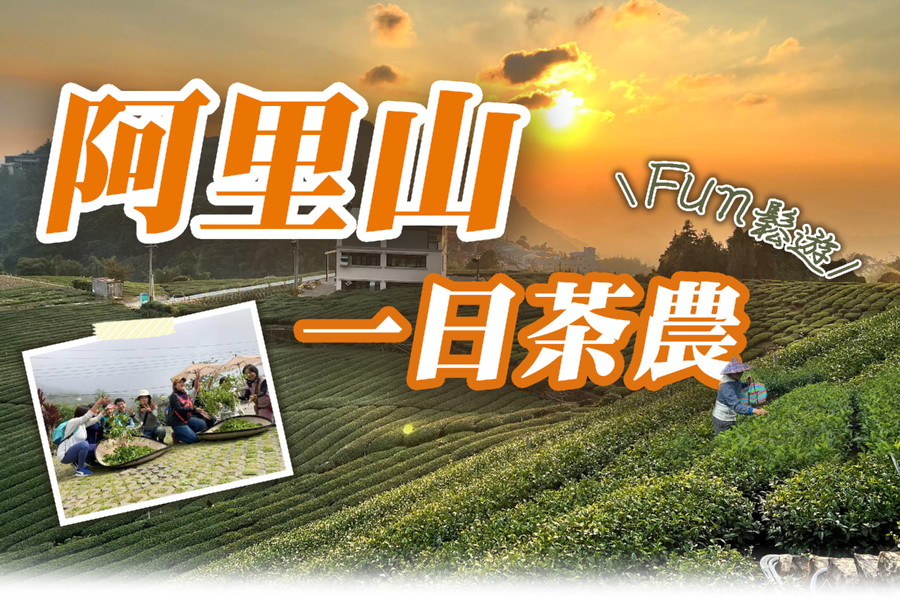 阿里山一日茶農Fun鬆遊1